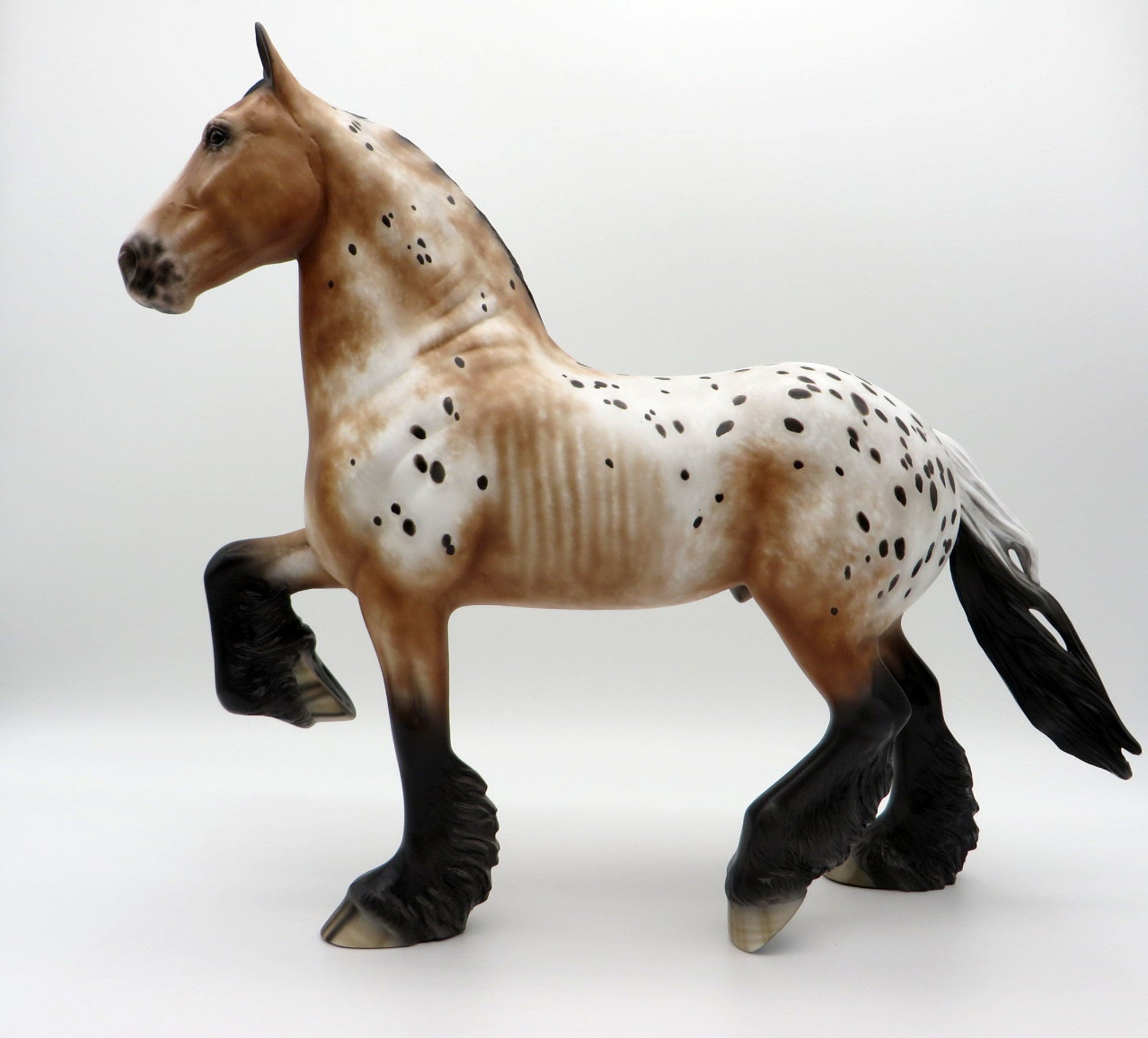 Kamikazee-OOAK Bay Appaloosa Trotting Draft  4/26/21