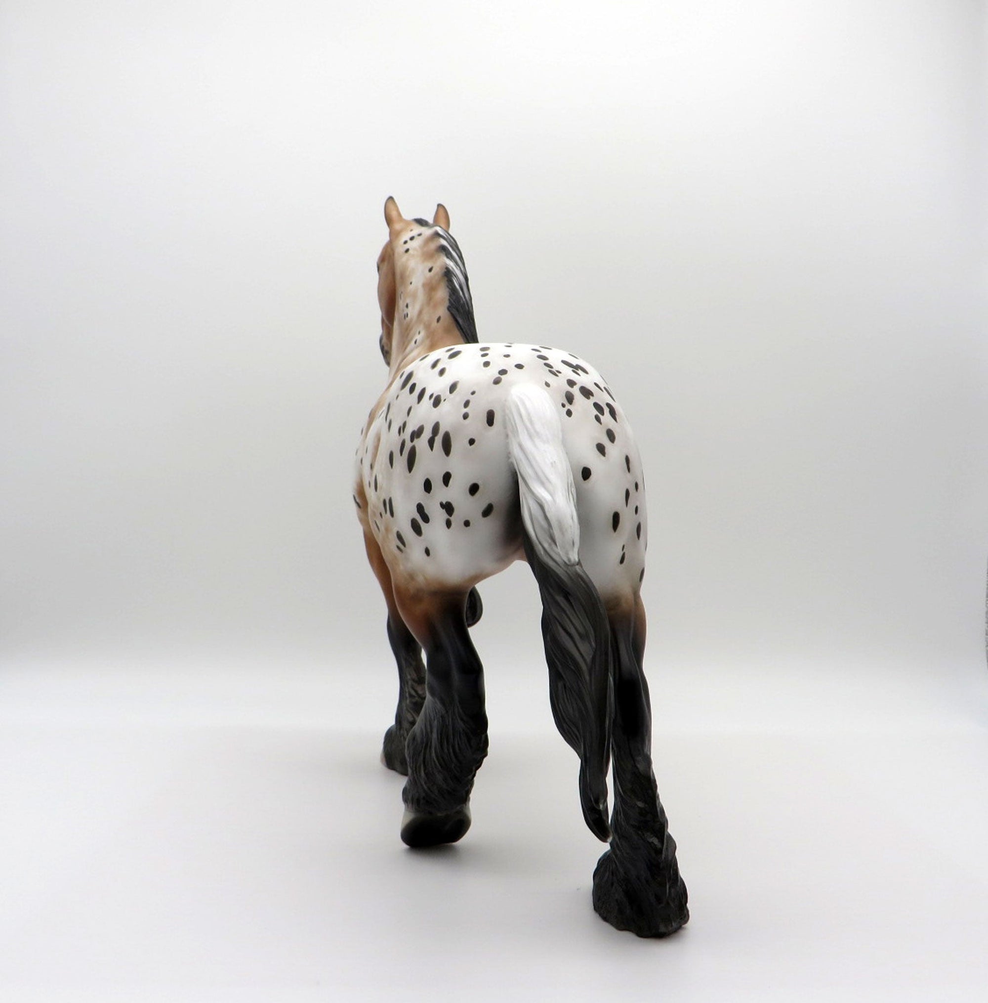 Kamikazee-OOAK Bay Appaloosa Trotting Draft  4/26/21