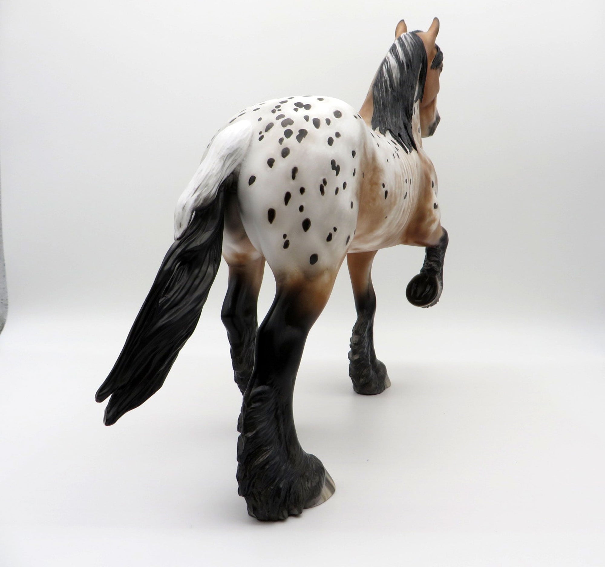 Kamikazee-OOAK Bay Appaloosa Trotting Draft  4/26/21