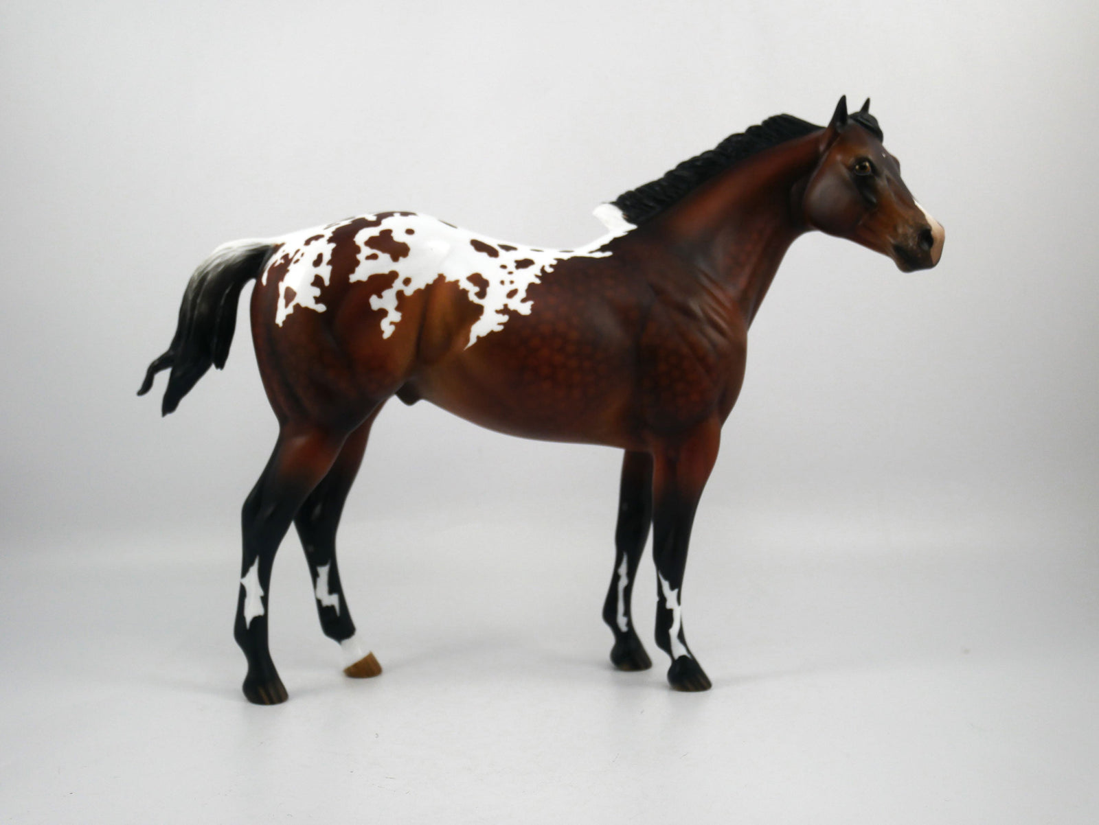 Kansas-OOAK Dapple Bay Appaloosa Painted by Audrey Dixon SB21