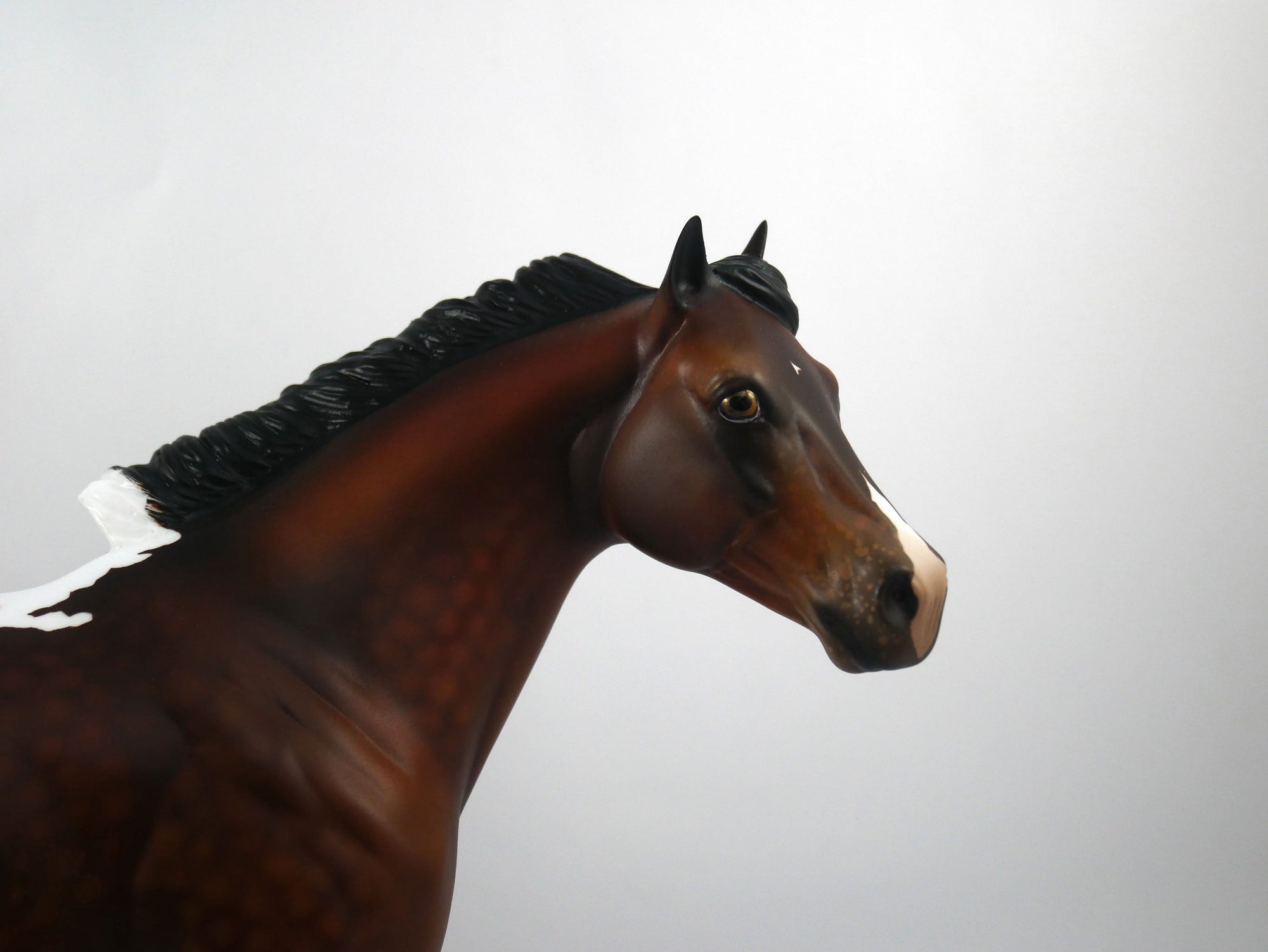 Kansas-OOAK Dapple Bay Appaloosa Painted by Audrey Dixon SB21