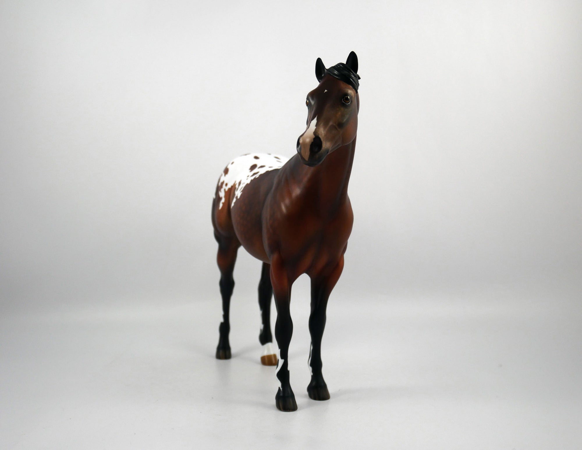 Kansas-OOAK Dapple Bay Appaloosa Painted by Audrey Dixon SB21