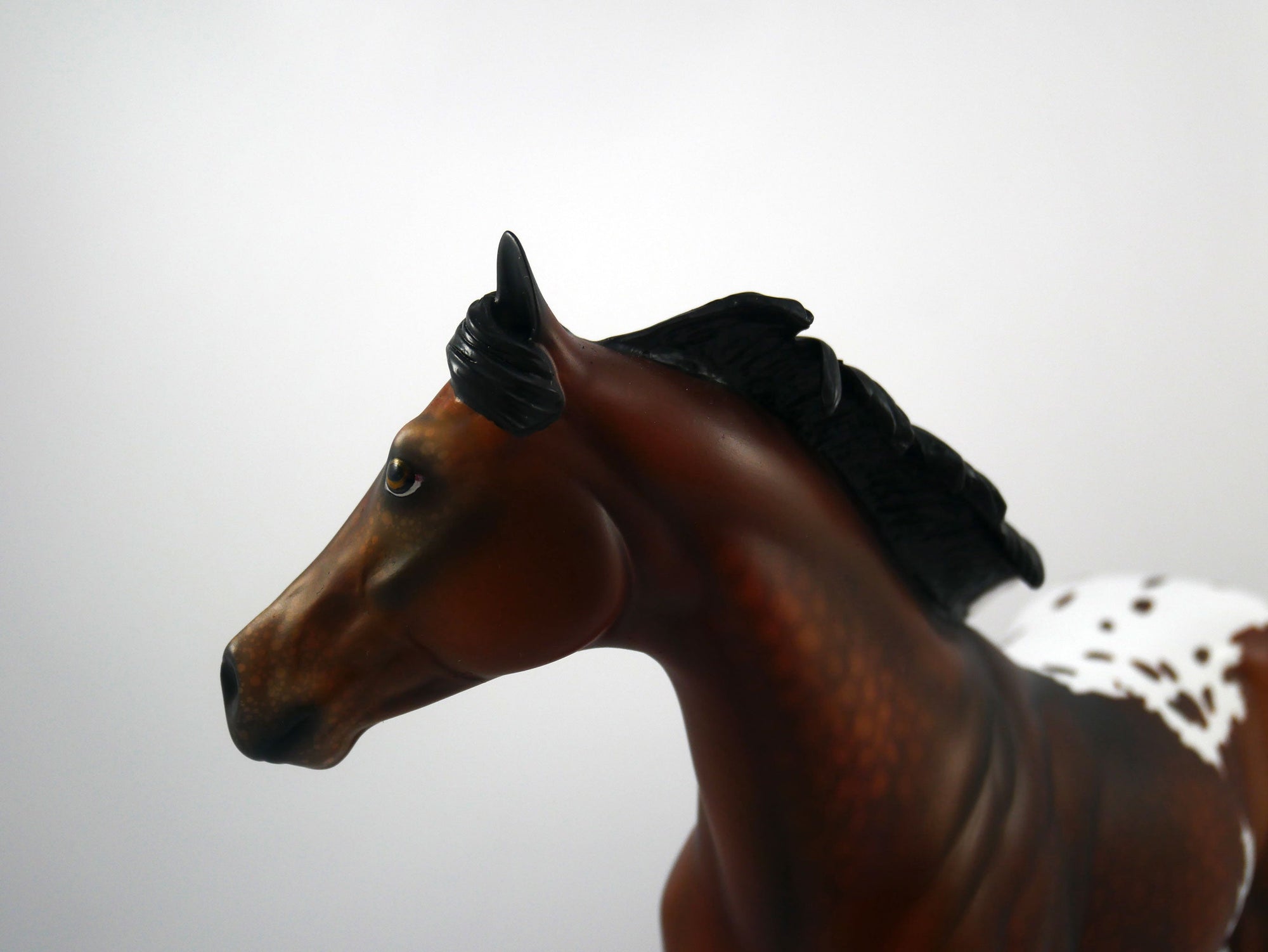 Kansas-OOAK Dapple Bay Appaloosa Painted by Audrey Dixon SB21