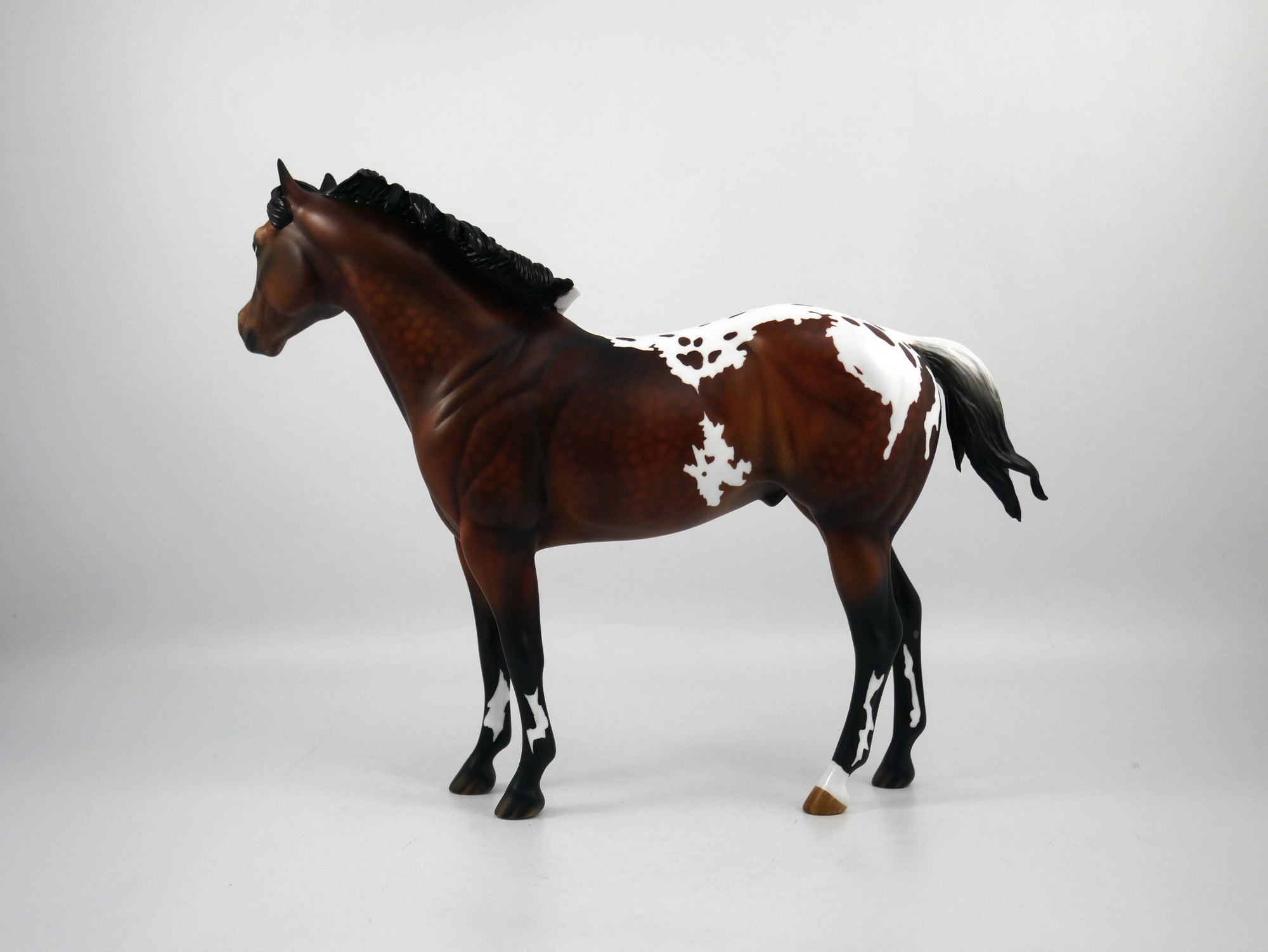 Kansas-OOAK Dapple Bay Appaloosa Painted by Audrey Dixon SB21