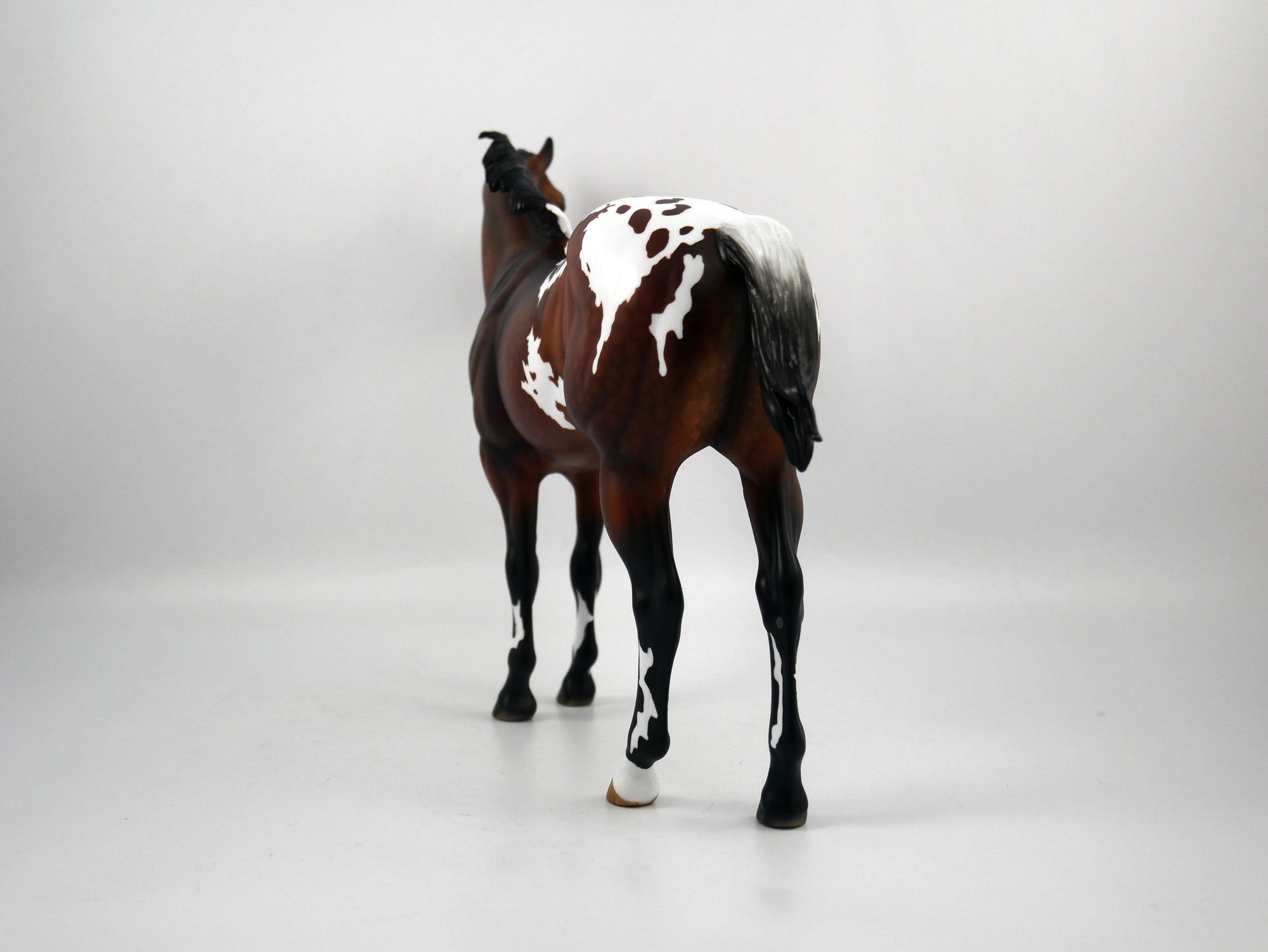 Kansas-OOAK Dapple Bay Appaloosa Painted by Audrey Dixon SB21