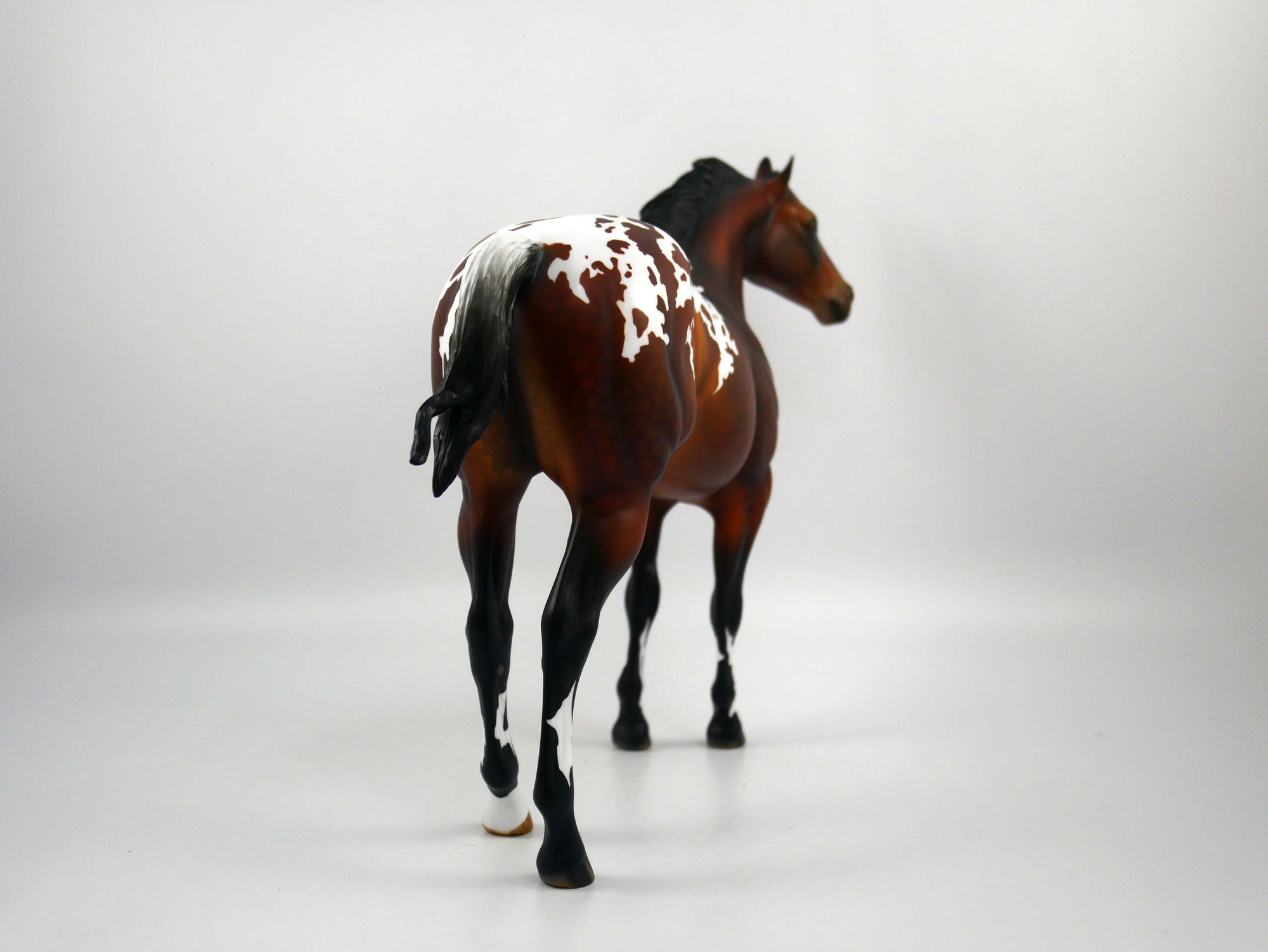 Kansas-OOAK Dapple Bay Appaloosa Painted by Audrey Dixon SB21