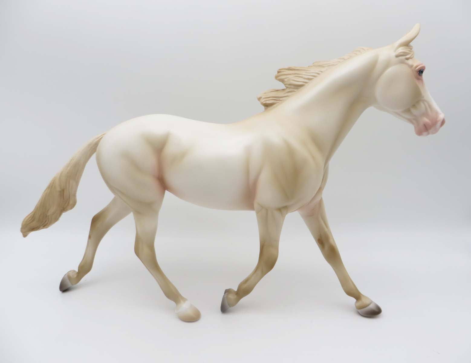 Kayce - LE 15 - Perlino Palouse Gelding By Ashley Palmer - SHCF23