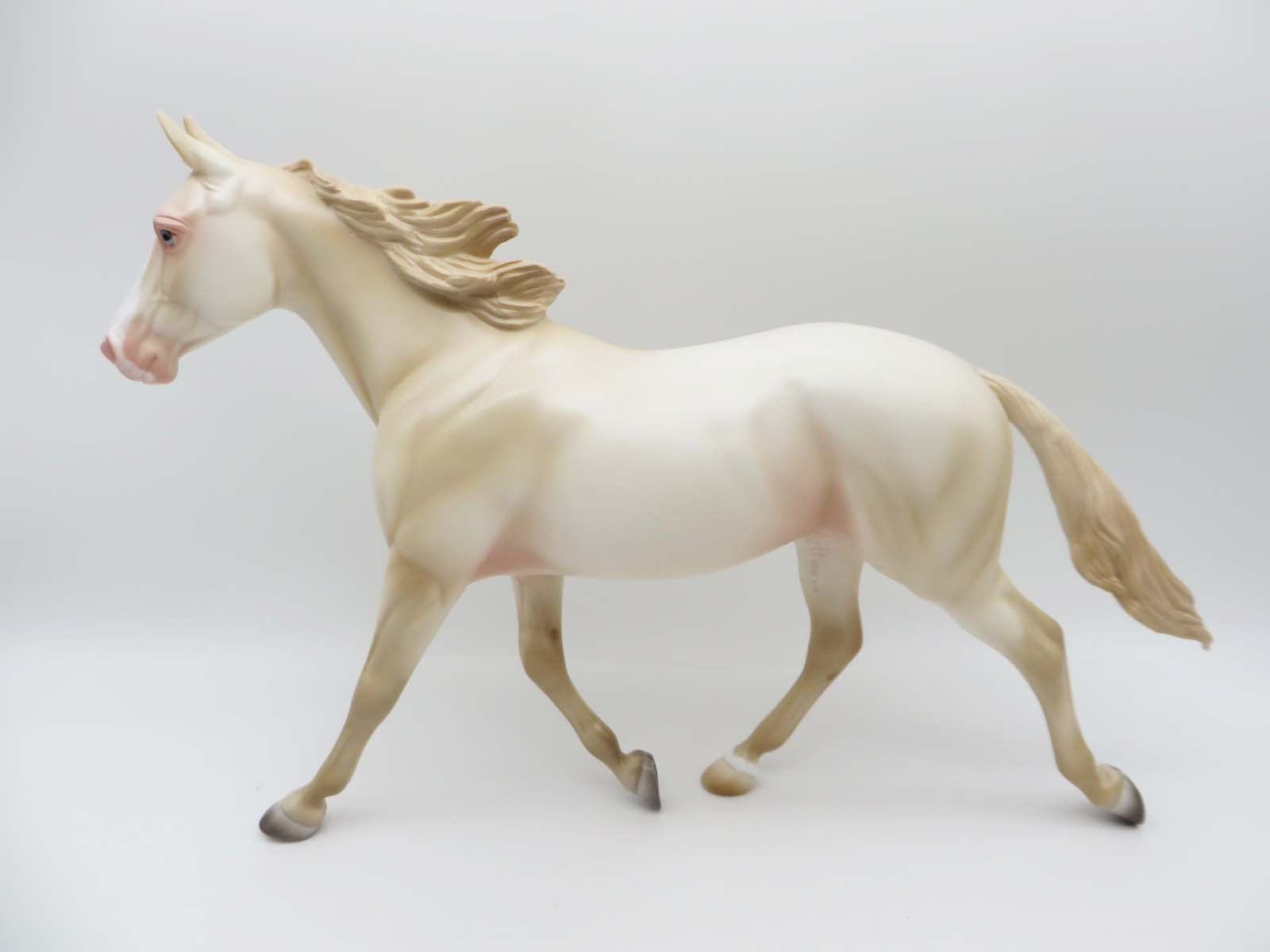 Kayce - LE 15 - Perlino Palouse Gelding By Ashley Palmer - SHCF23