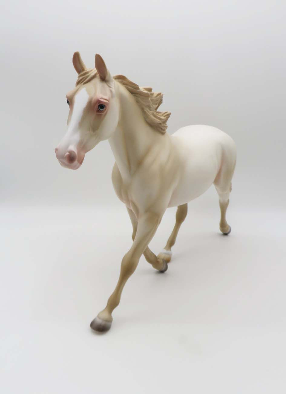 Kayce - LE 15 - Perlino Palouse Gelding By Ashley Palmer - SHCF23