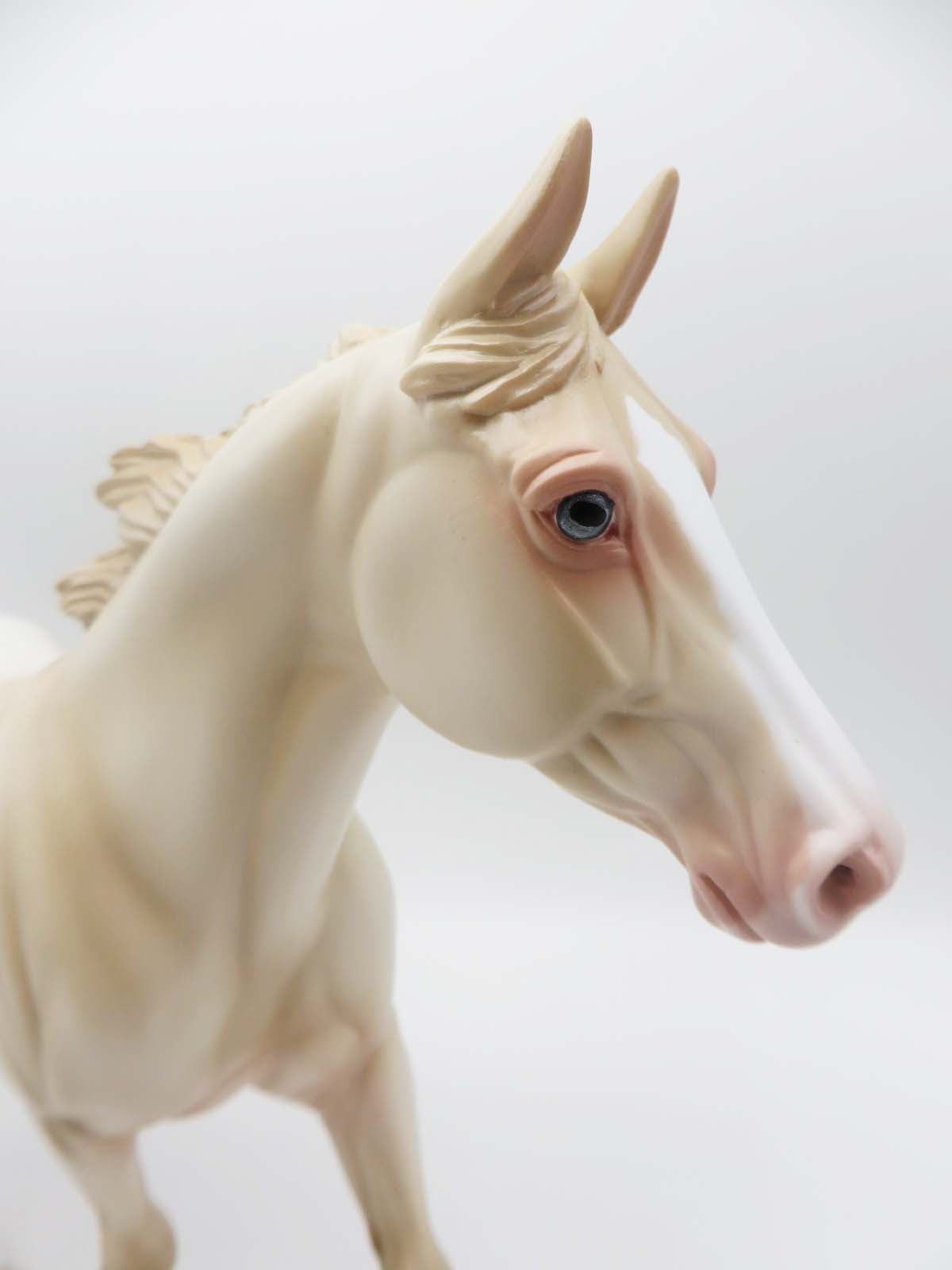 KIDS AUCTION EQ23 Kayce - LE 15 - Perlino Palouse Gelding By Ashley Palmer