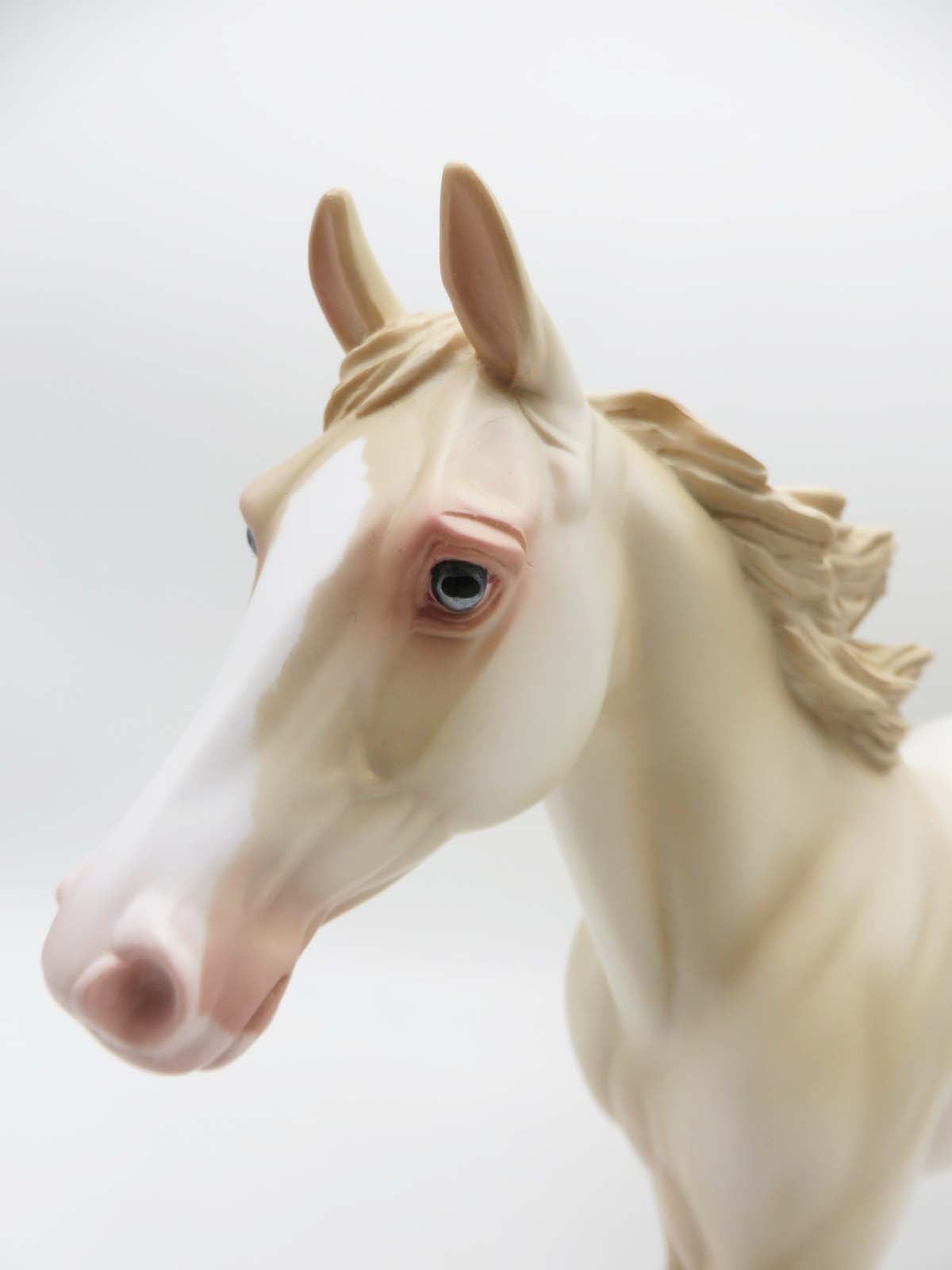 Kayce - LE 15 - Perlino Palouse Gelding By Ashley Palmer - SHCF23