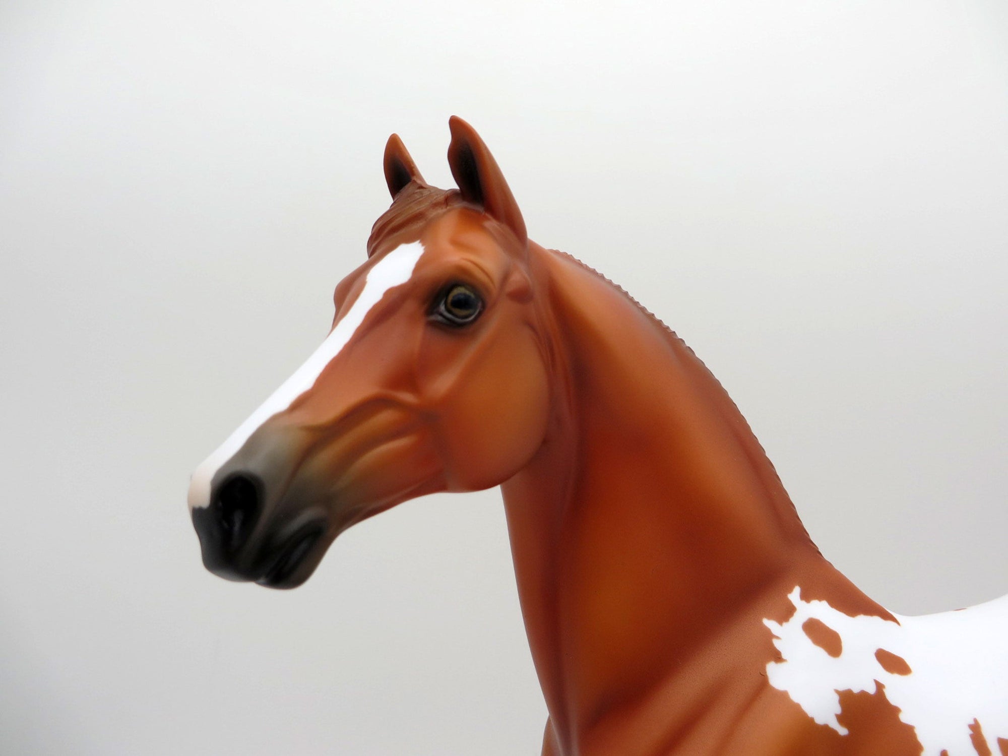 Keats-OOAK Chestnut Pinto Morgan Painted By Ellen Robbins EQ 2021