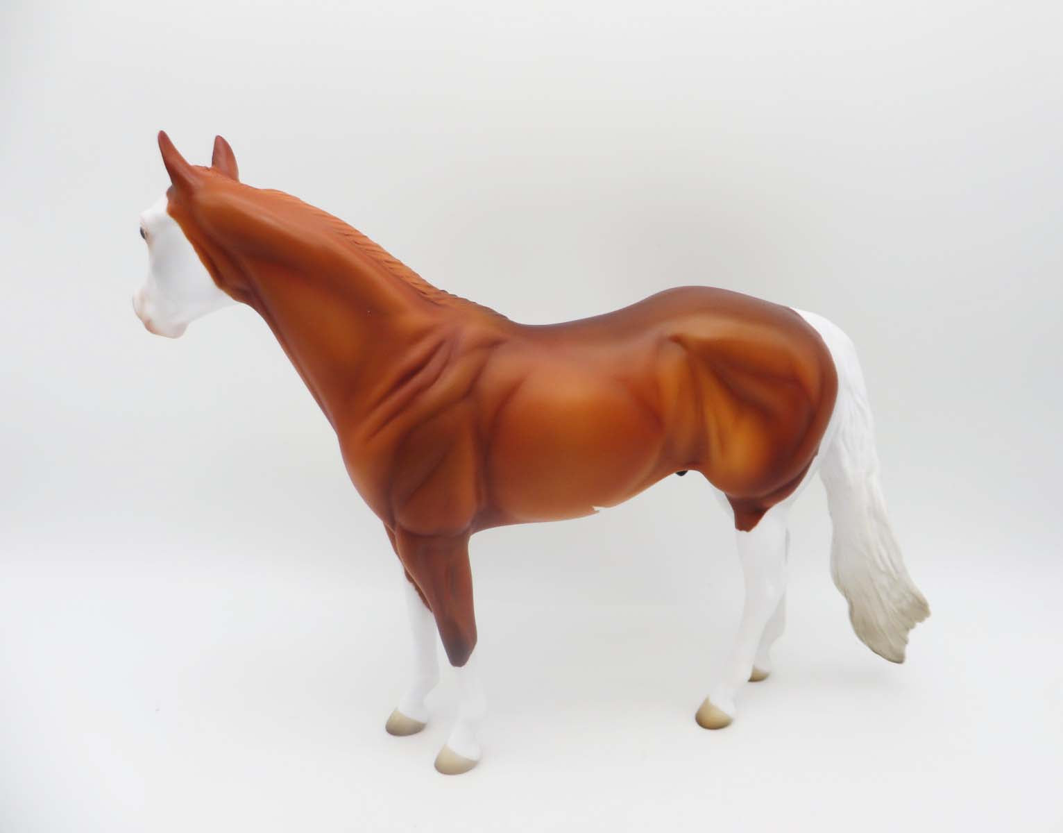 Kedi - OOAK - Chestnut Ideal Stock Horse By Angela Marleau - P&amp;C 23