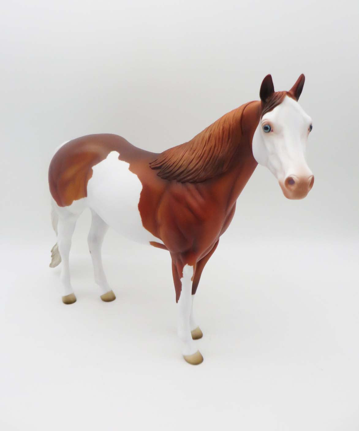 Kedi - OOAK - Chestnut Ideal Stock Horse By Angela Marleau - P&amp;C 23