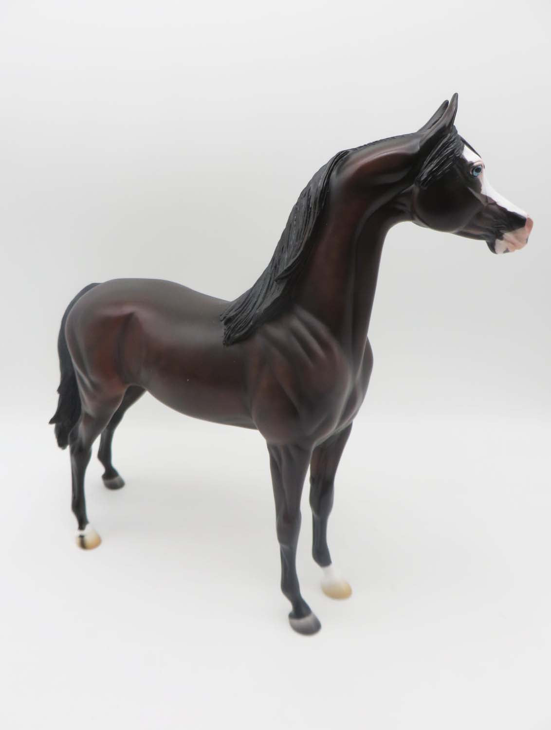 Keep The Wolves Close - OOAK - Dappled Dark Bay Arabian By Ashley Palmer - SHCF23
