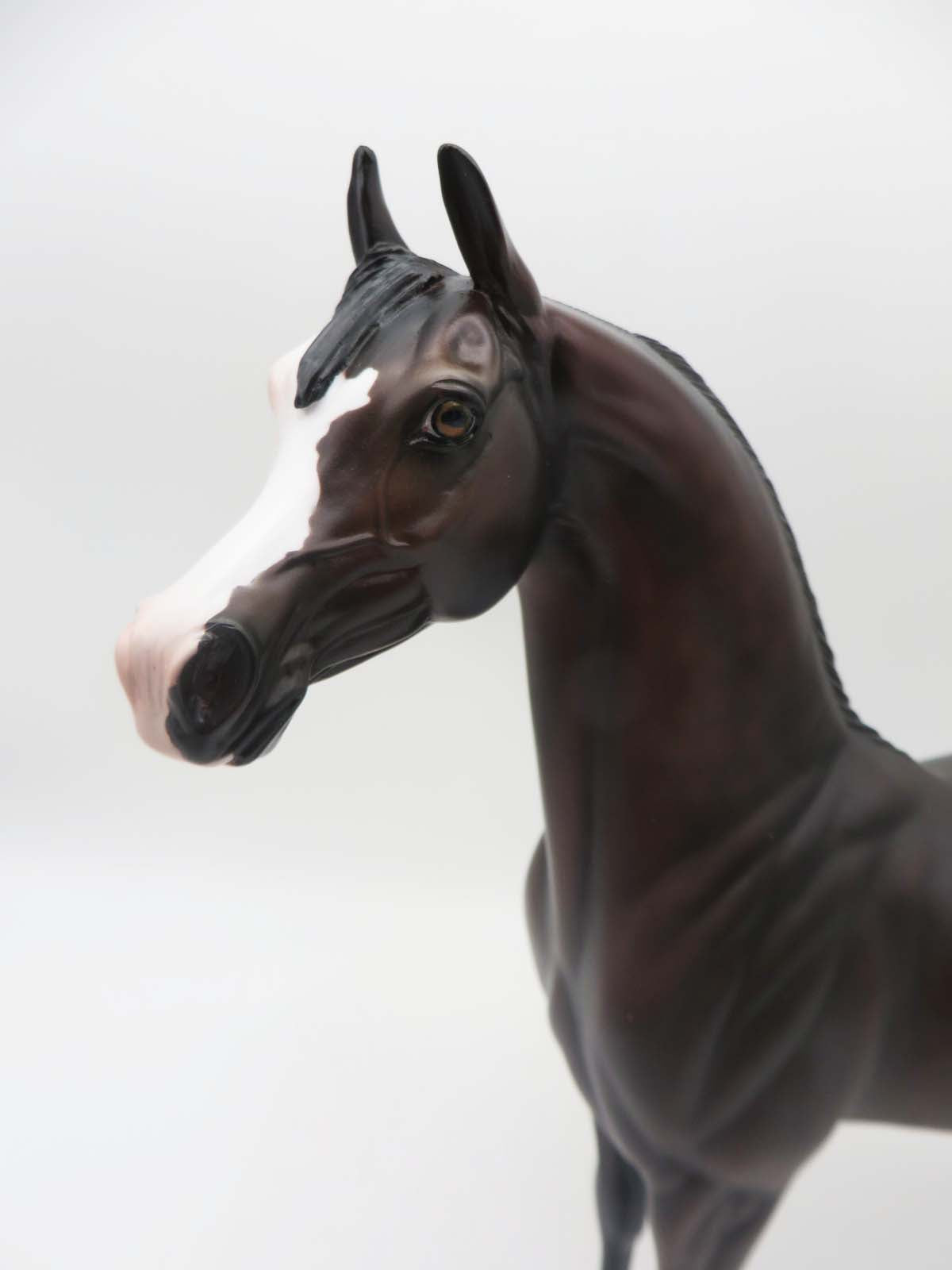 Keep The Wolves Close - OOAK - Dappled Dark Bay Arabian By Ashley Palmer - SHCF23