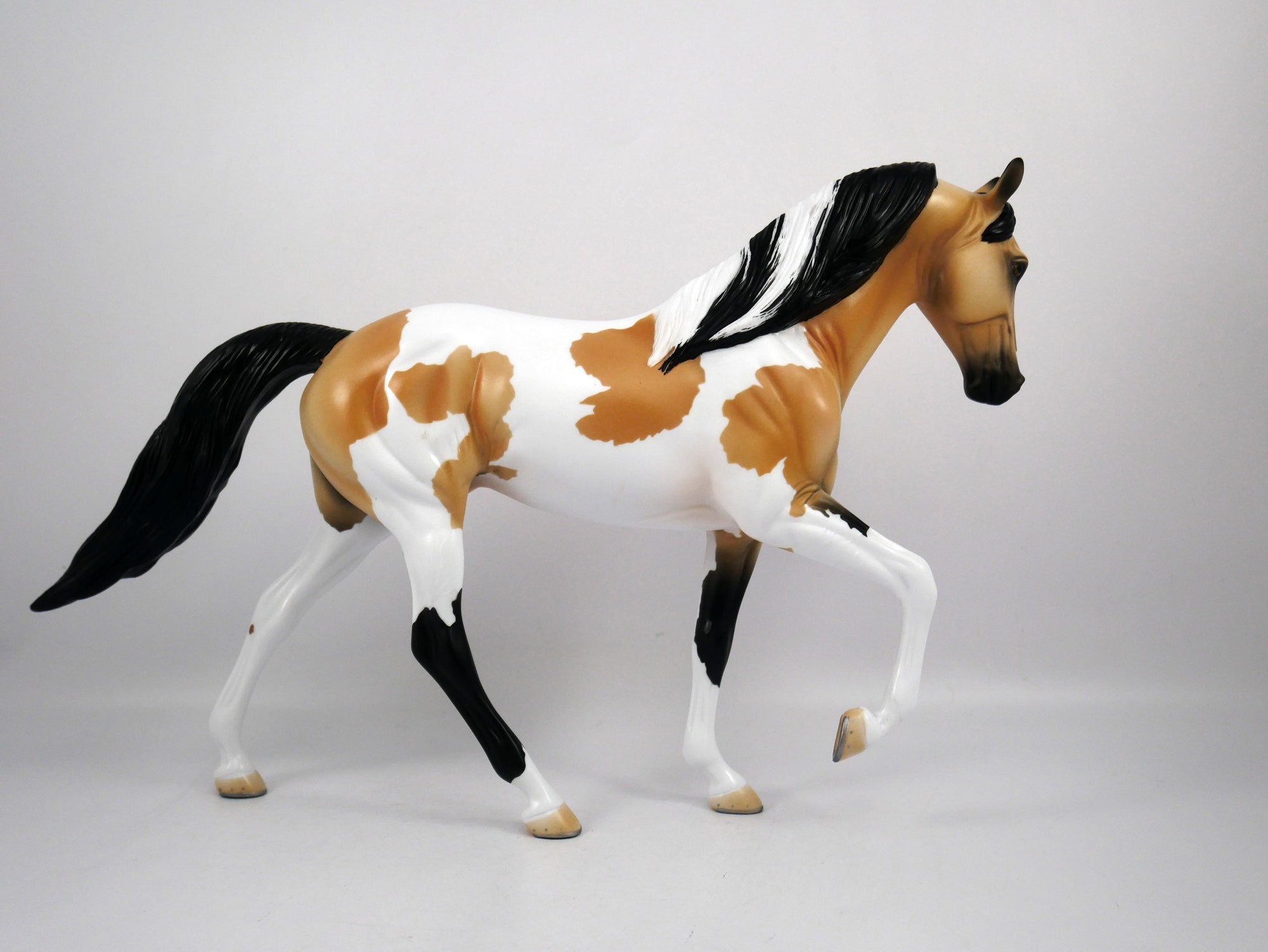 Kenny-OOAK Buckskin Paint Tennessee Walk by Ellen 1/29/21