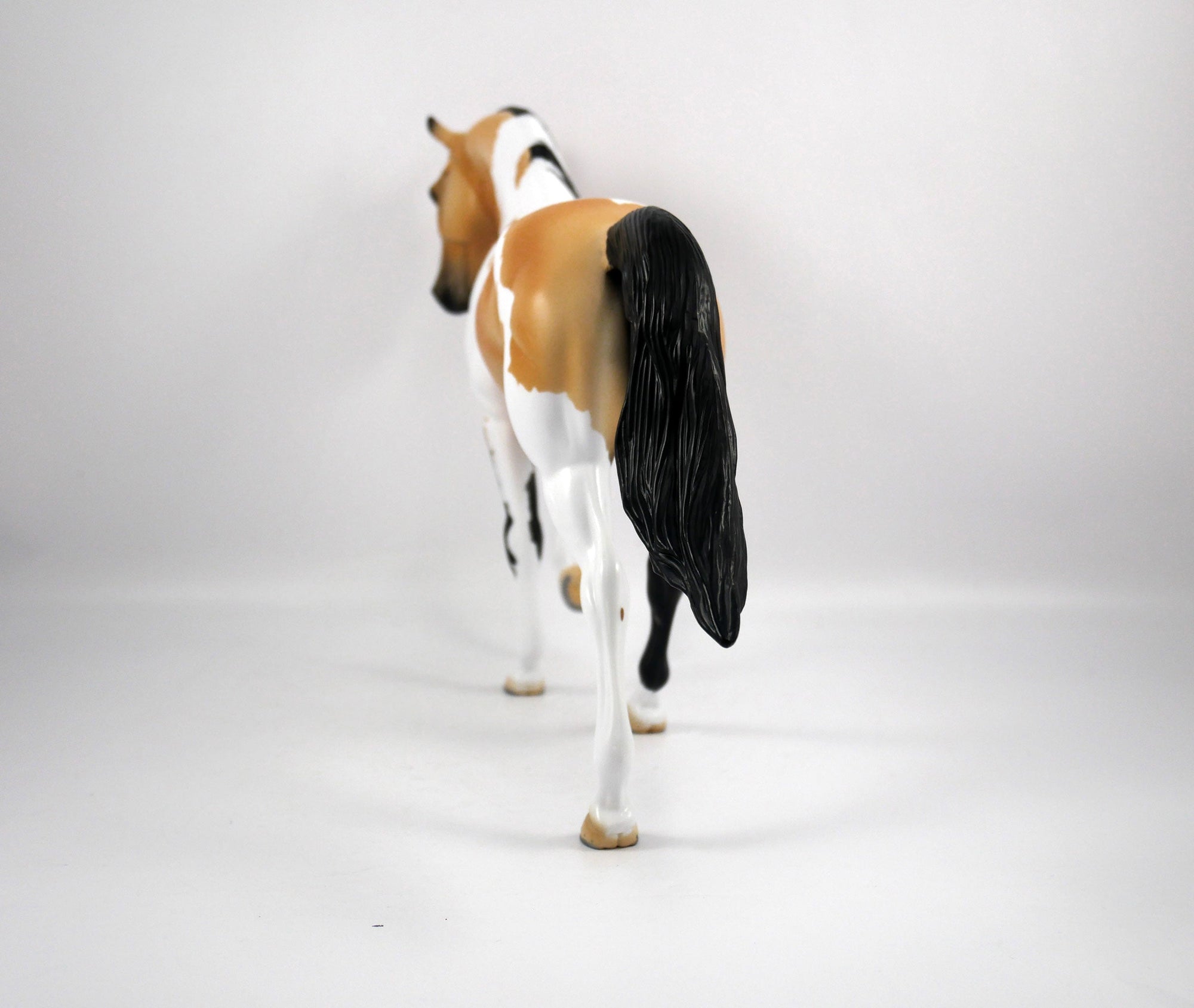 Kenny-OOAK Buckskin Paint Tennessee Walk by Ellen 1/29/21