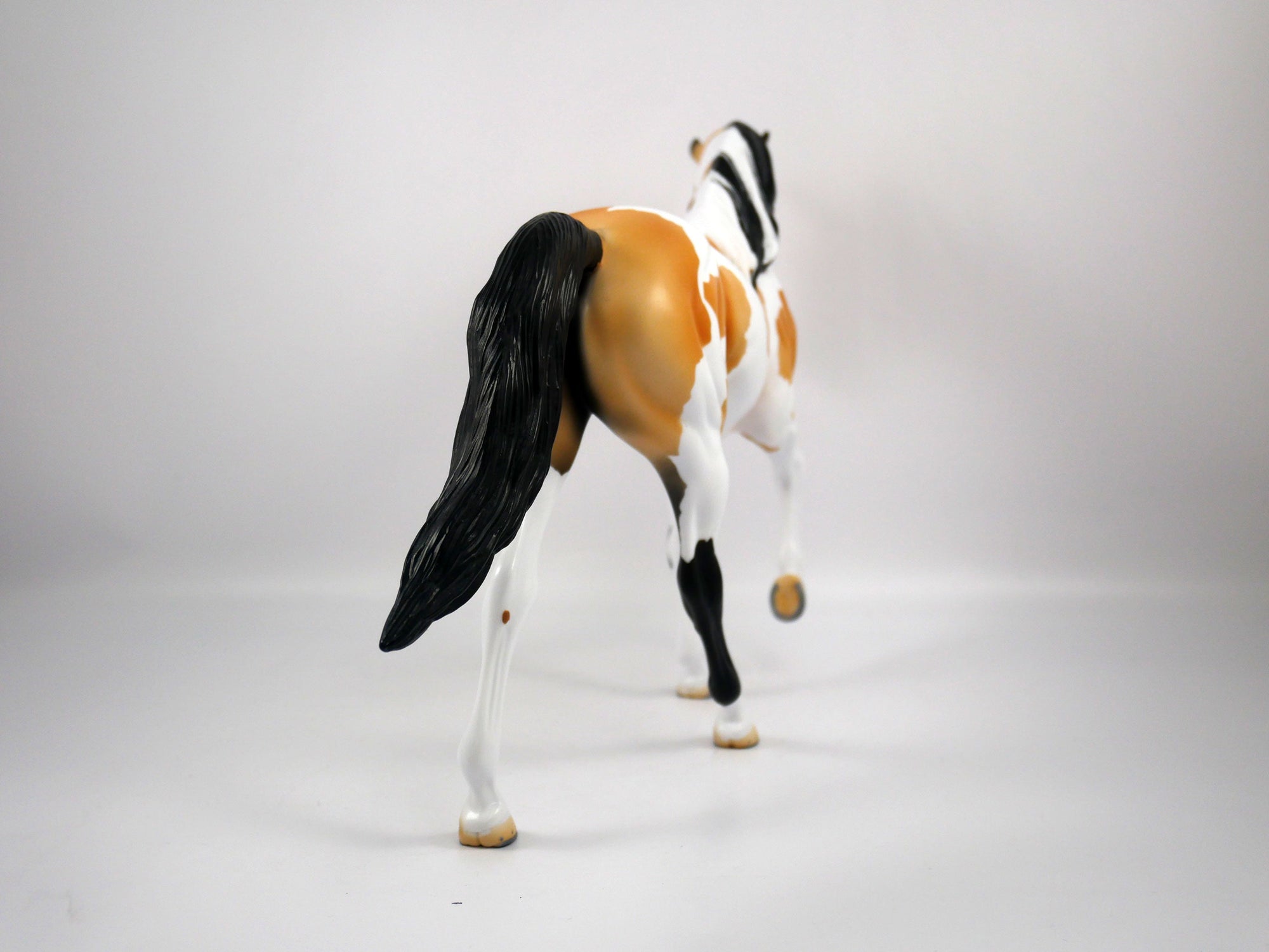 Kenny-OOAK Buckskin Paint Tennessee Walk by Ellen 1/29/21