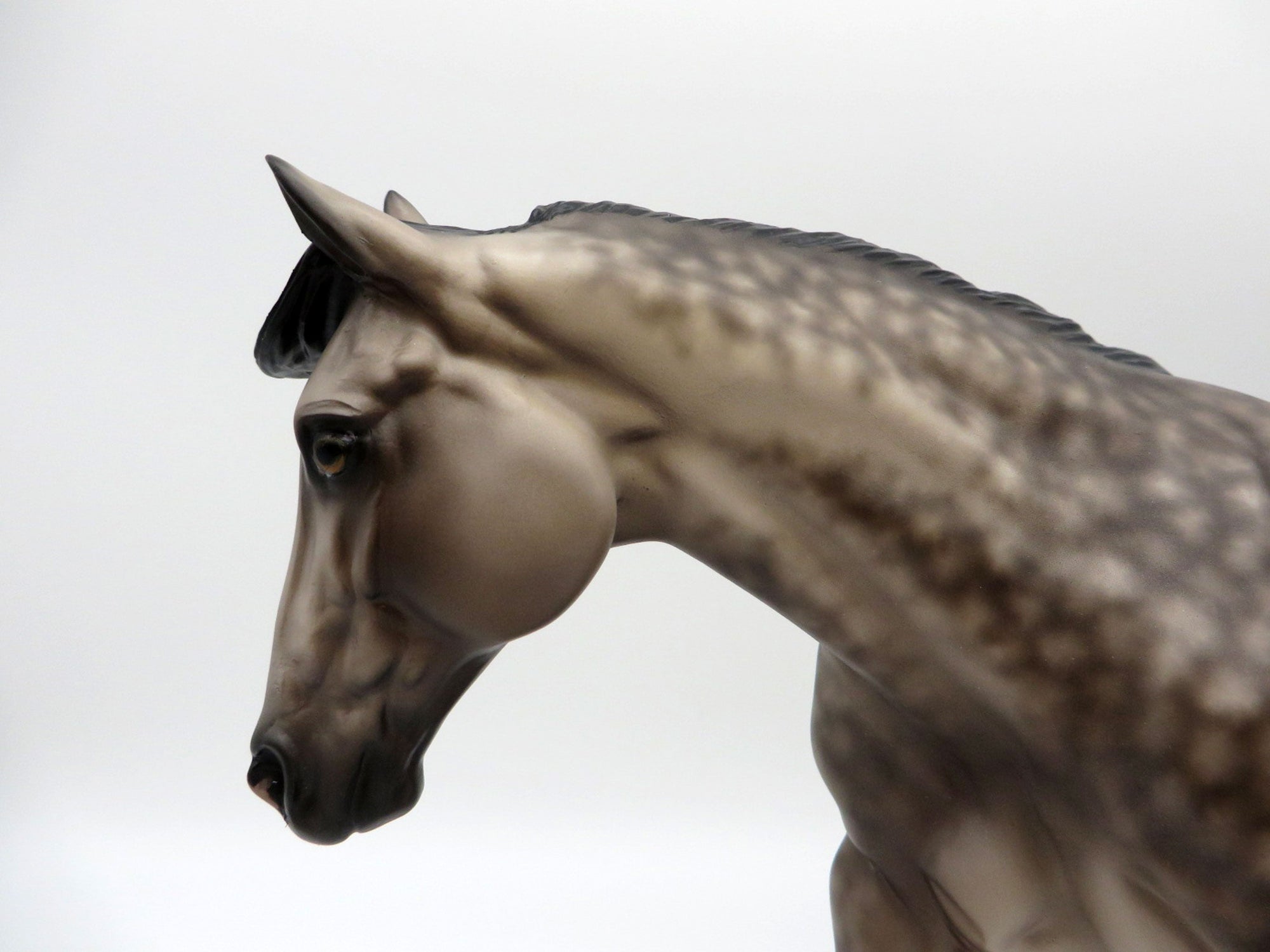 Kerouac--OOAK Buckskin Running Stock Horse  by Sheryl Leisure  EQ 21