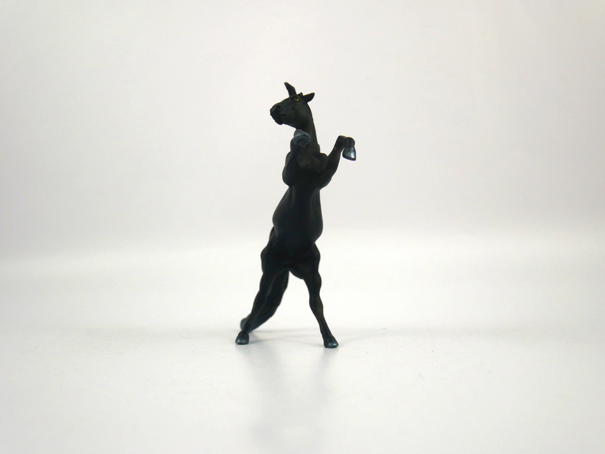 Kiddra-OOAK Dapple Black Rearing Chip Chip 1/27/21