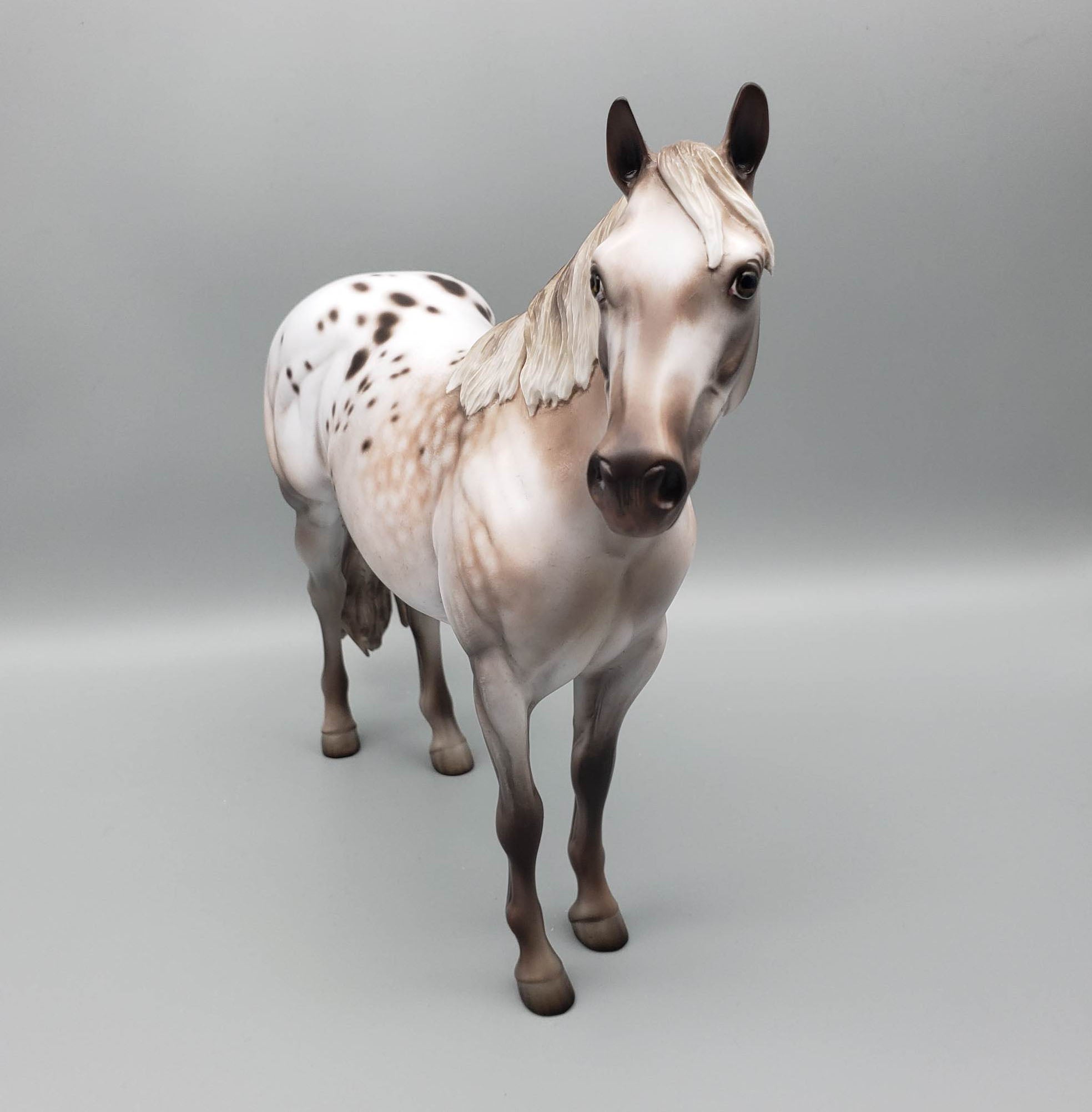 Kieren - OOAK Varnish Roan ISH By Jess Hamill Best Offer 6/5/23