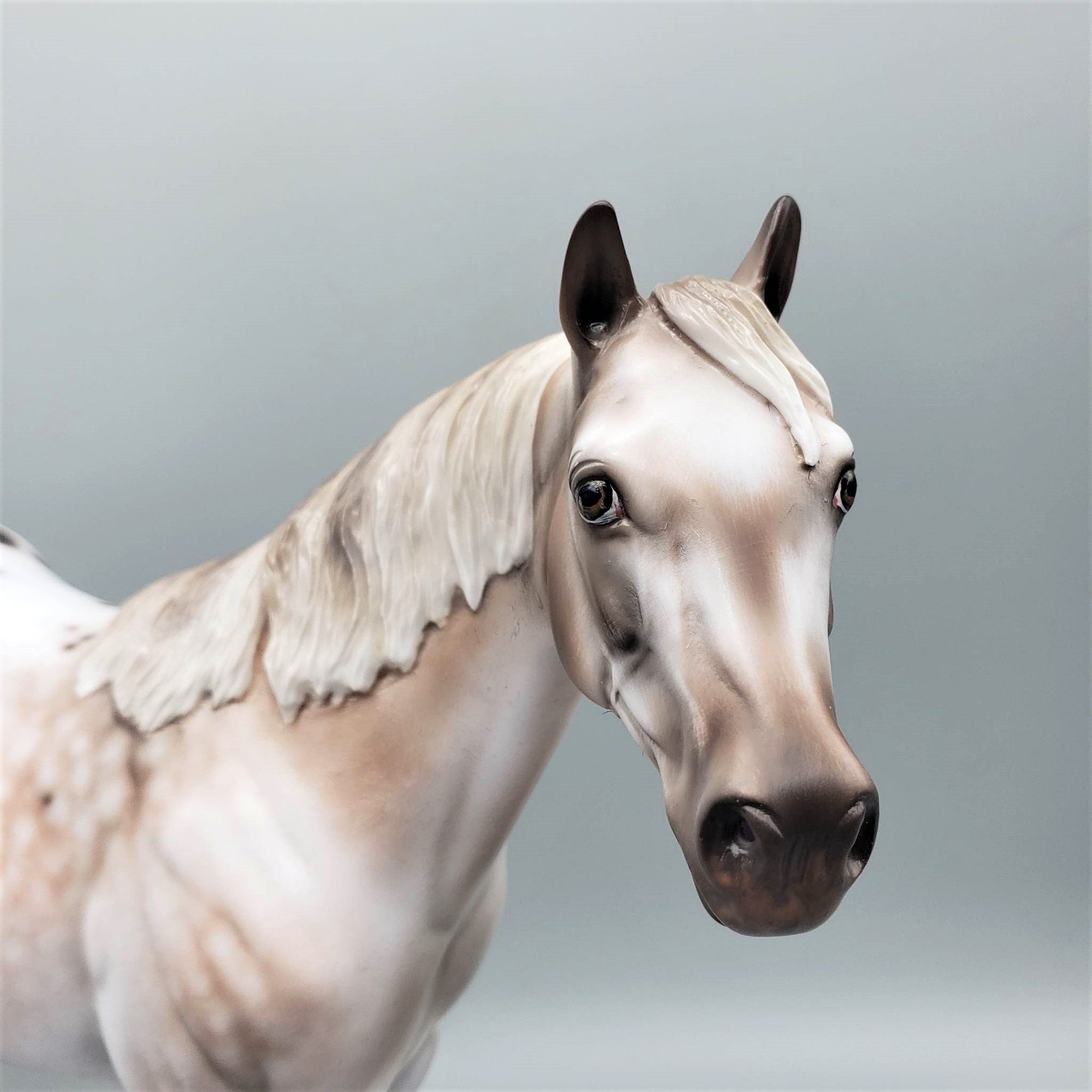 Kieren - OOAK Varnish Roan ISH By Jess Hamill Best Offer 6/5/23