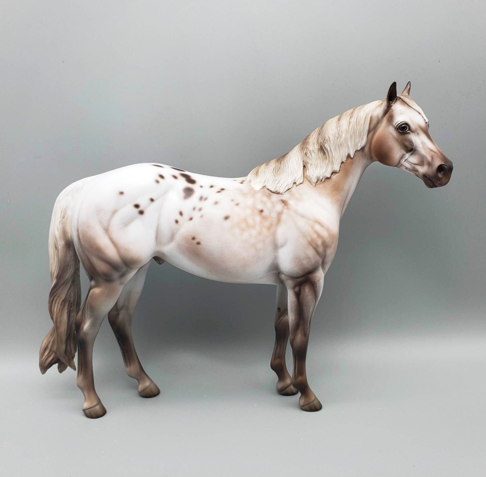 Kieren - OOAK Varnish Roan ISH By Jess Hamill Best Offer 6/5/23