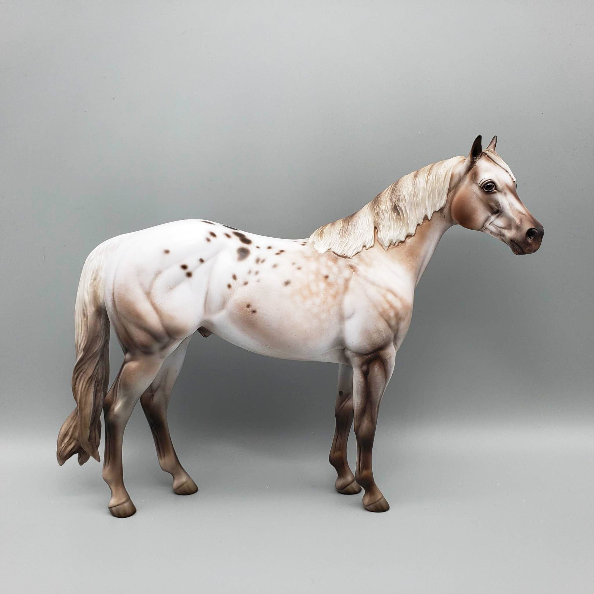 Kieren - OOAK Varnish Roan ISH By Jess Hamill Best Offer 6/5/23