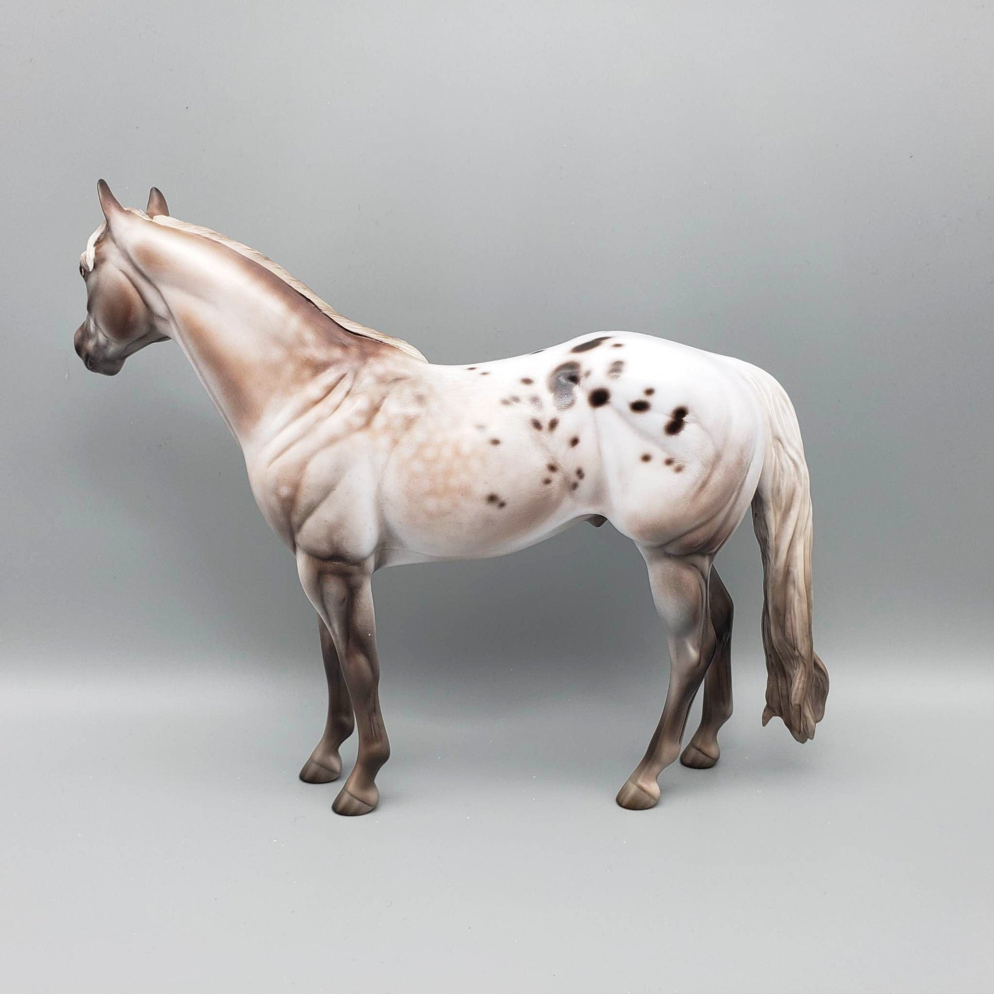 Kieren - OOAK Varnish Roan ISH By Jess Hamill Best Offer 6/5/23