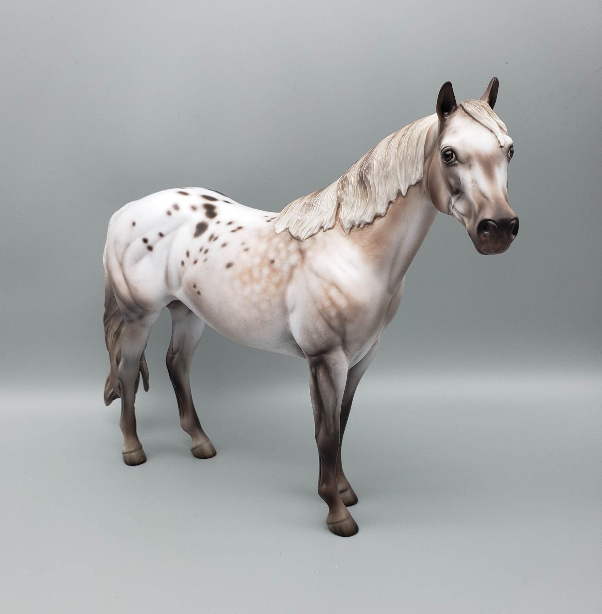 Kieren - OOAK Varnish Roan ISH By Jess Hamill Best Offer 6/5/23