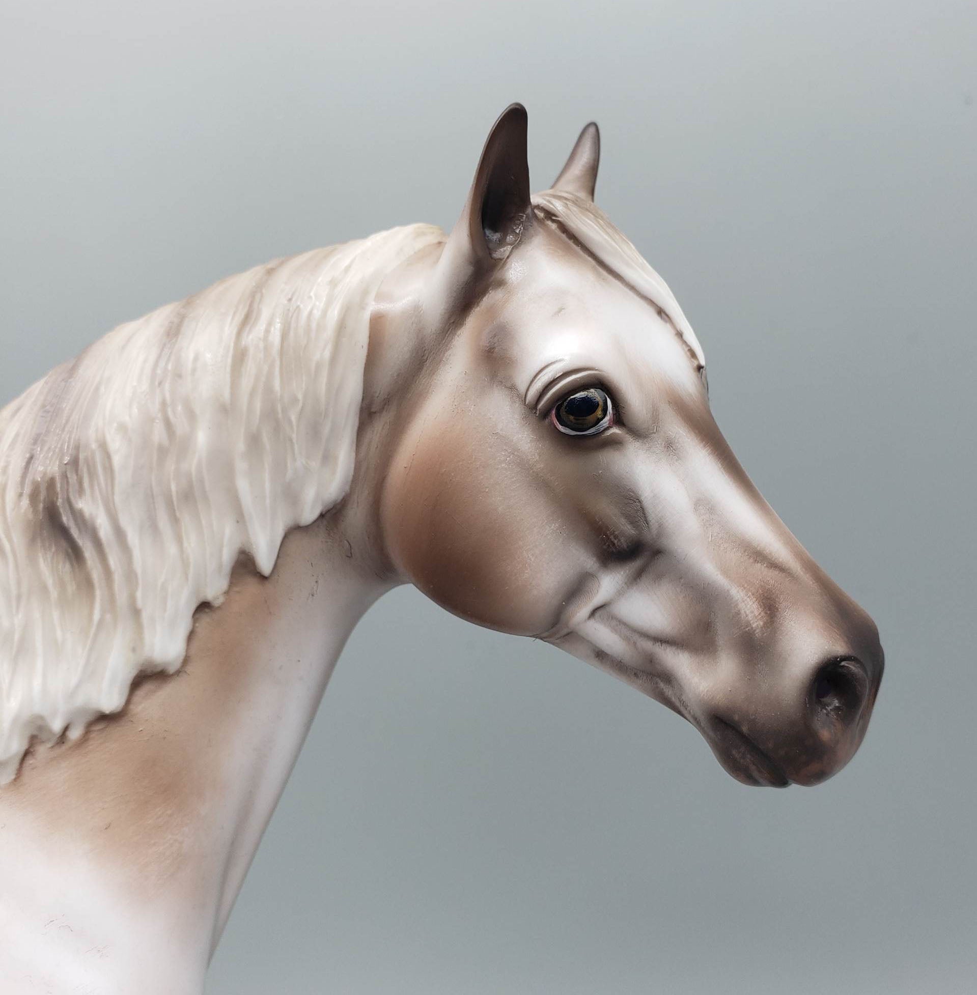 Kieren - OOAK Varnish Roan ISH By Jess Hamill Best Offer 6/5/23