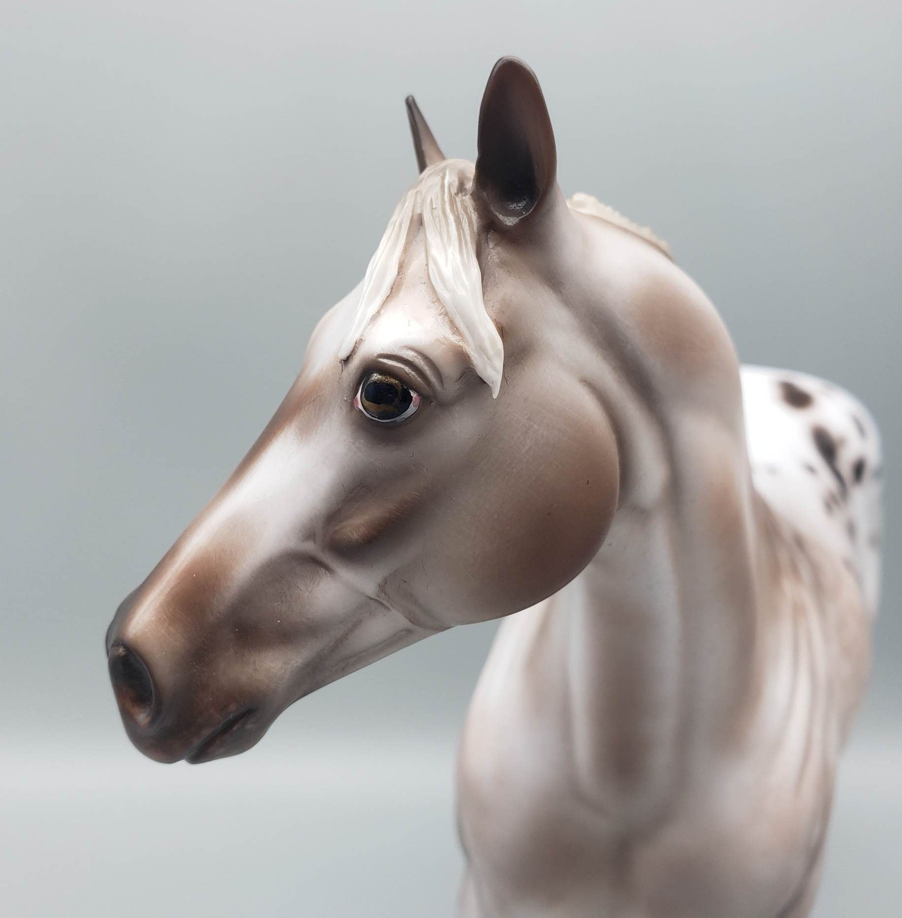 Kieren - OOAK Varnish Roan ISH By Jess Hamill Best Offer 6/5/23