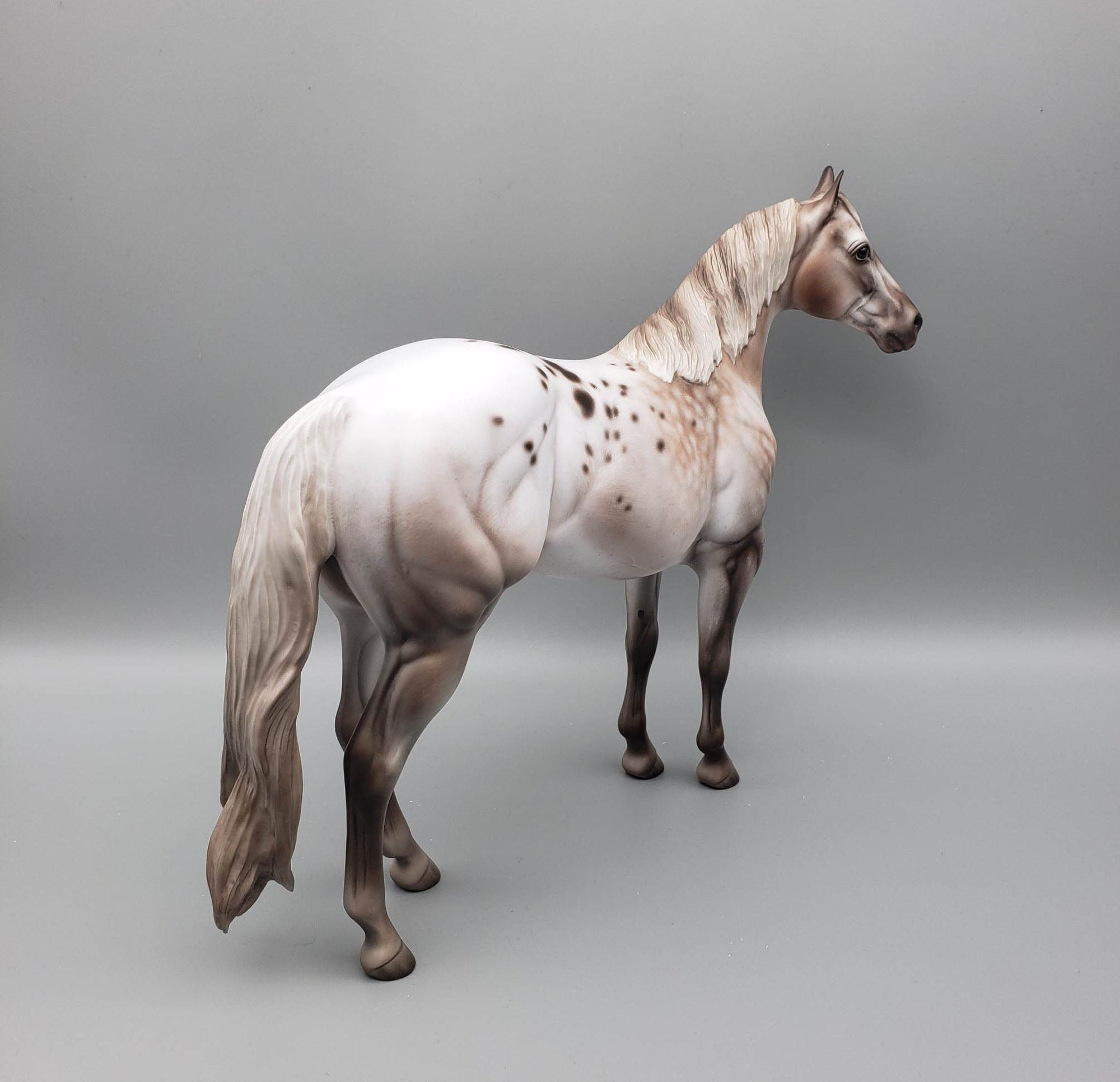 Kieren - OOAK Varnish Roan ISH By Jess Hamill Best Offer 6/5/23