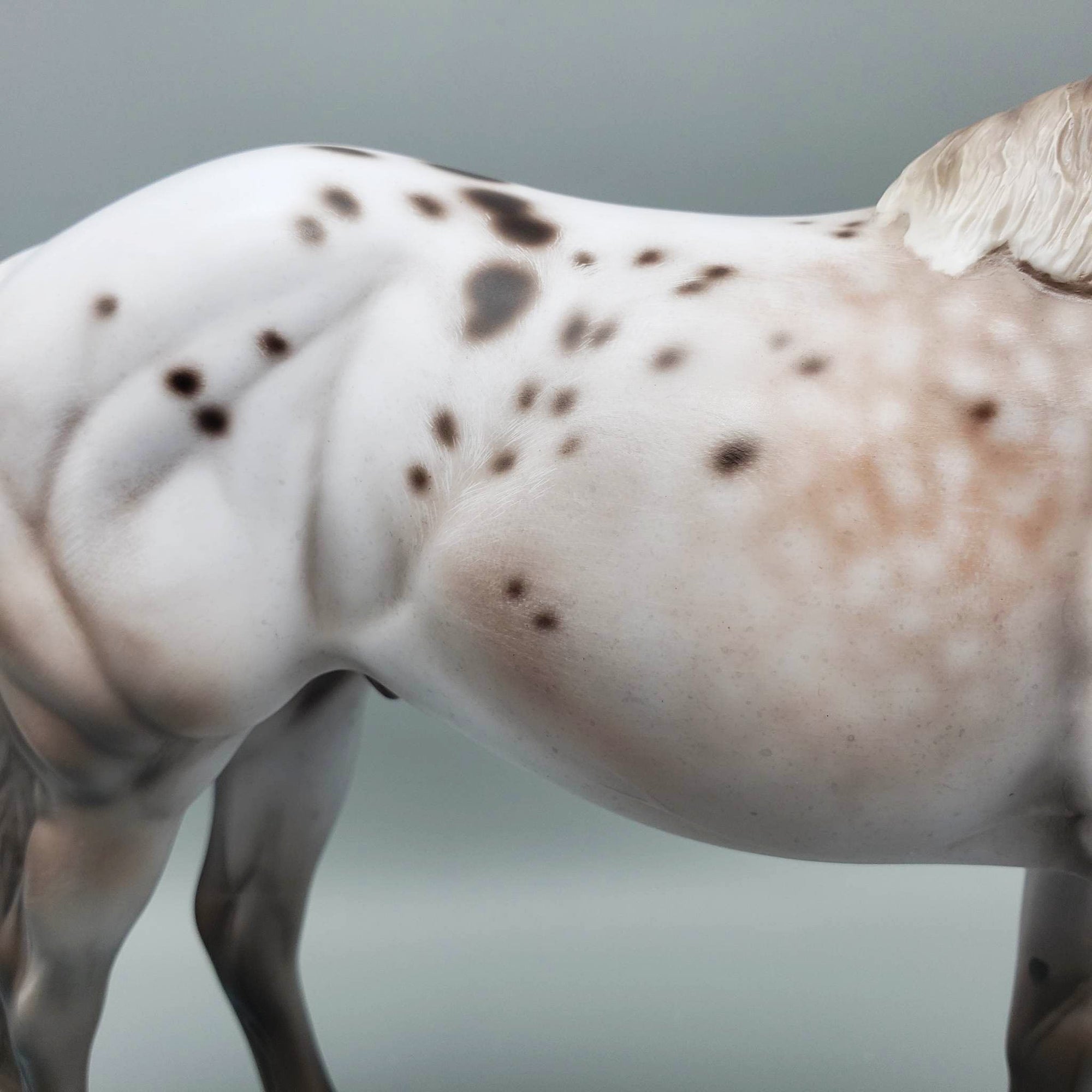 Kieren - OOAK Varnish Roan ISH By Jess Hamill Best Offer 6/5/23