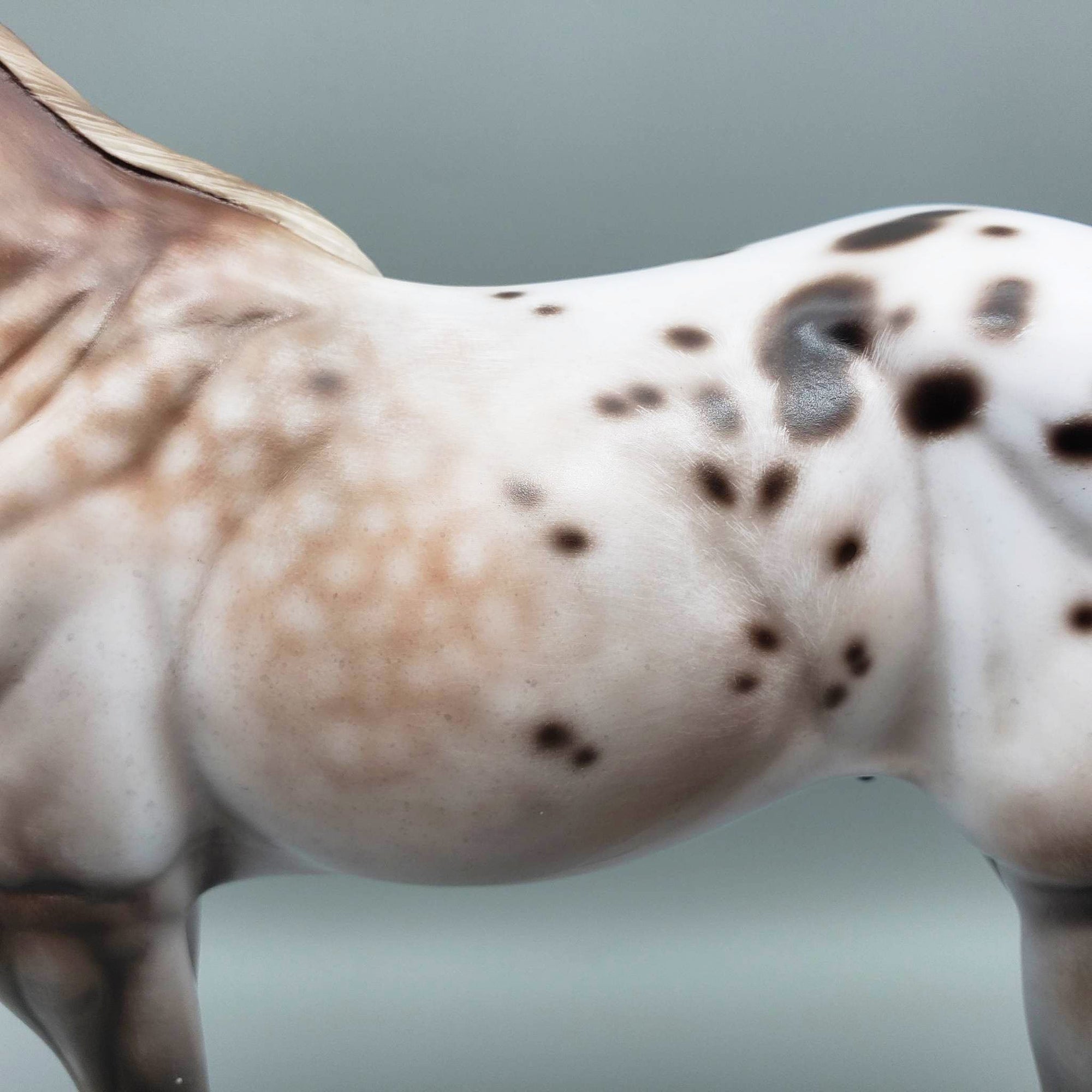 Kieren - OOAK Varnish Roan ISH By Jess Hamill Best Offer 6/5/23