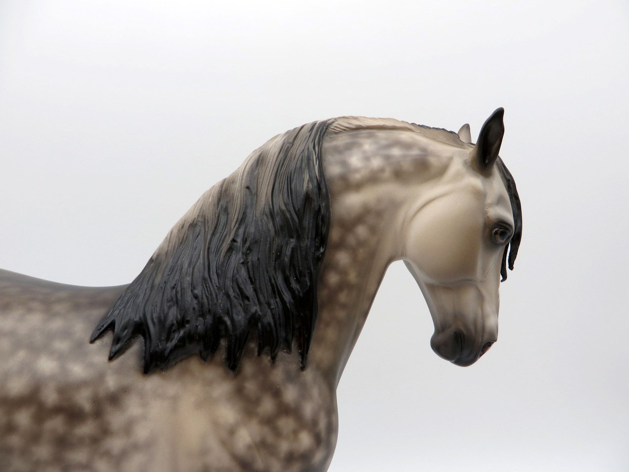 King of the Beach-OOAK Dapple Grey Andalusian  Painted by Sheryl Leisure 8/9/21