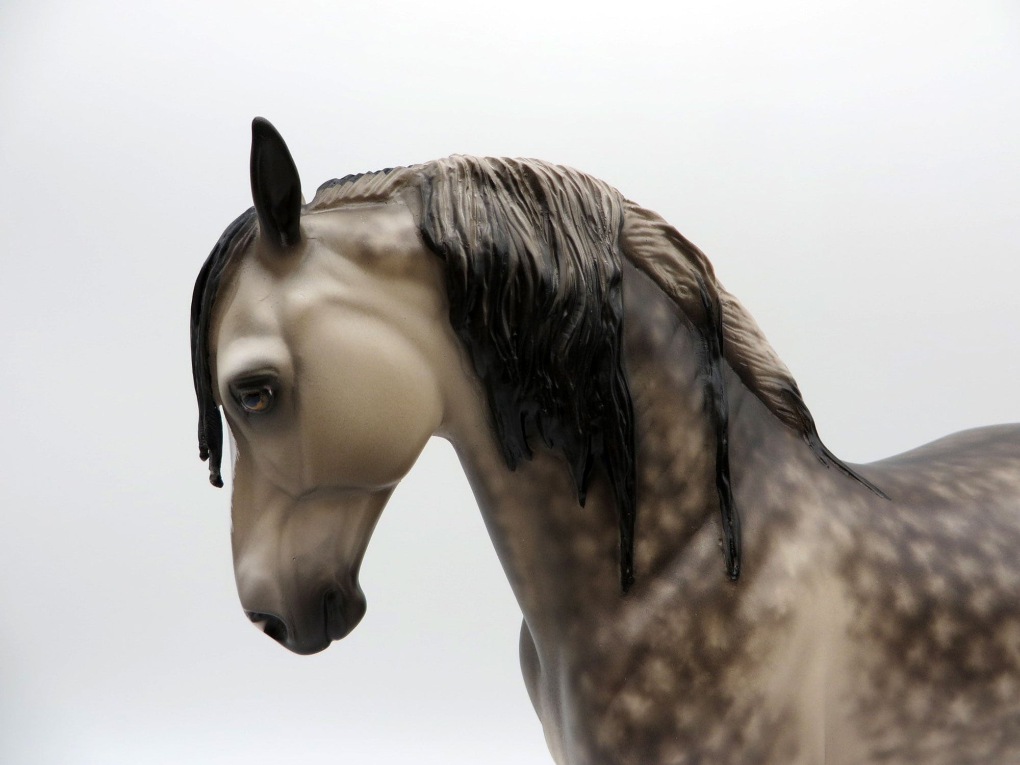 King of the Beach-OOAK Dapple Grey Andalusian  Painted by Sheryl Leisure 8/9/21