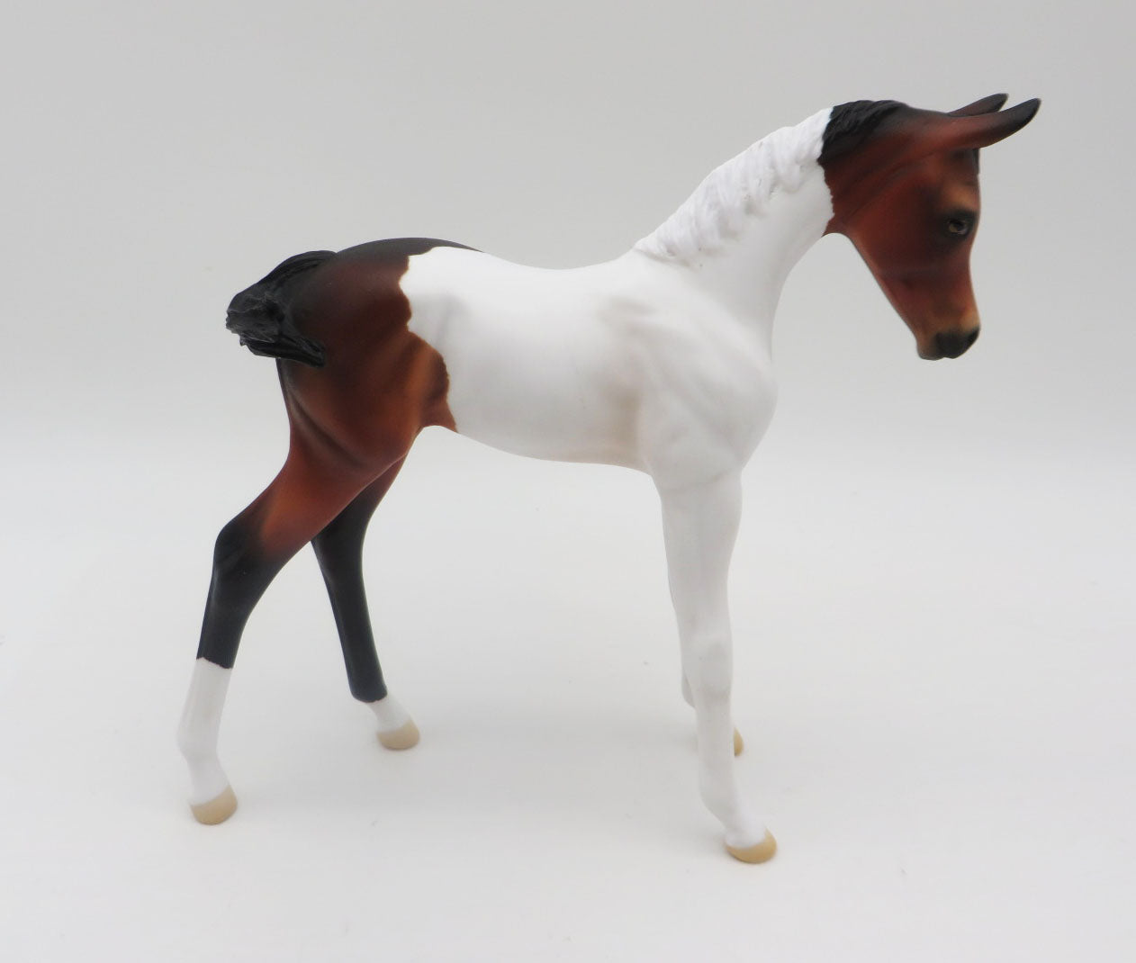 Koi-OOAK Bay Pinto Arabian Foal By Angela Marleau P&C 23