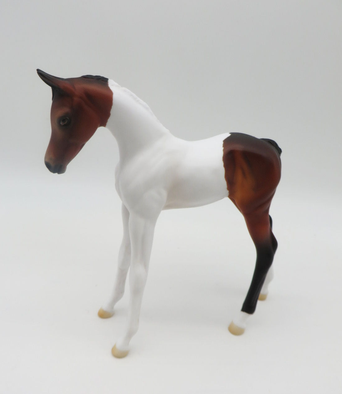 Koi-OOAK Bay Pinto Arabian Foal By Angela Marleau P&amp;C 23