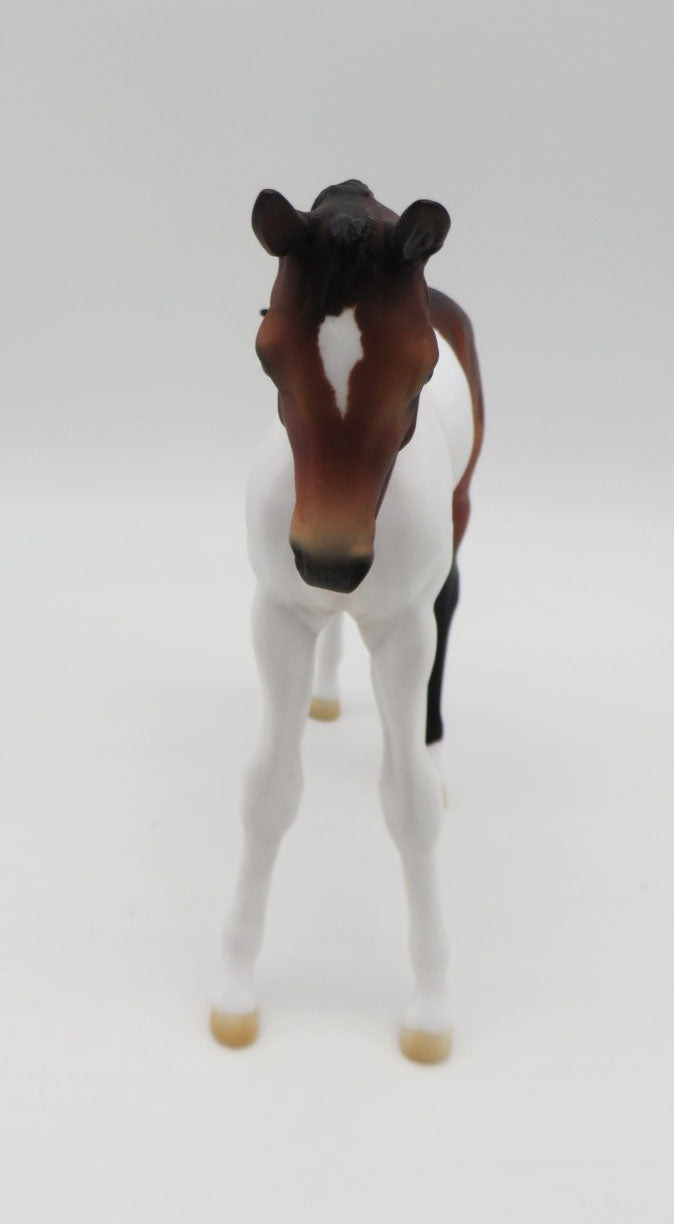 Koi-OOAK Bay Pinto Arabian Foal By Angela Marleau P&amp;C 23