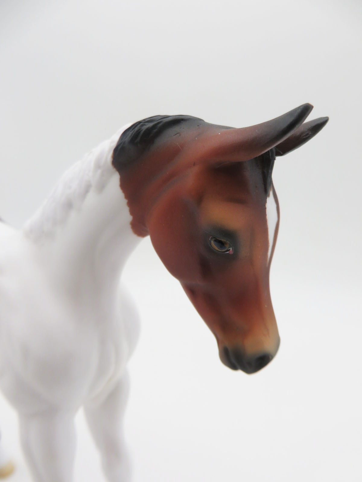 Koi-OOAK Bay Pinto Arabian Foal By Angela Marleau P&amp;C 23