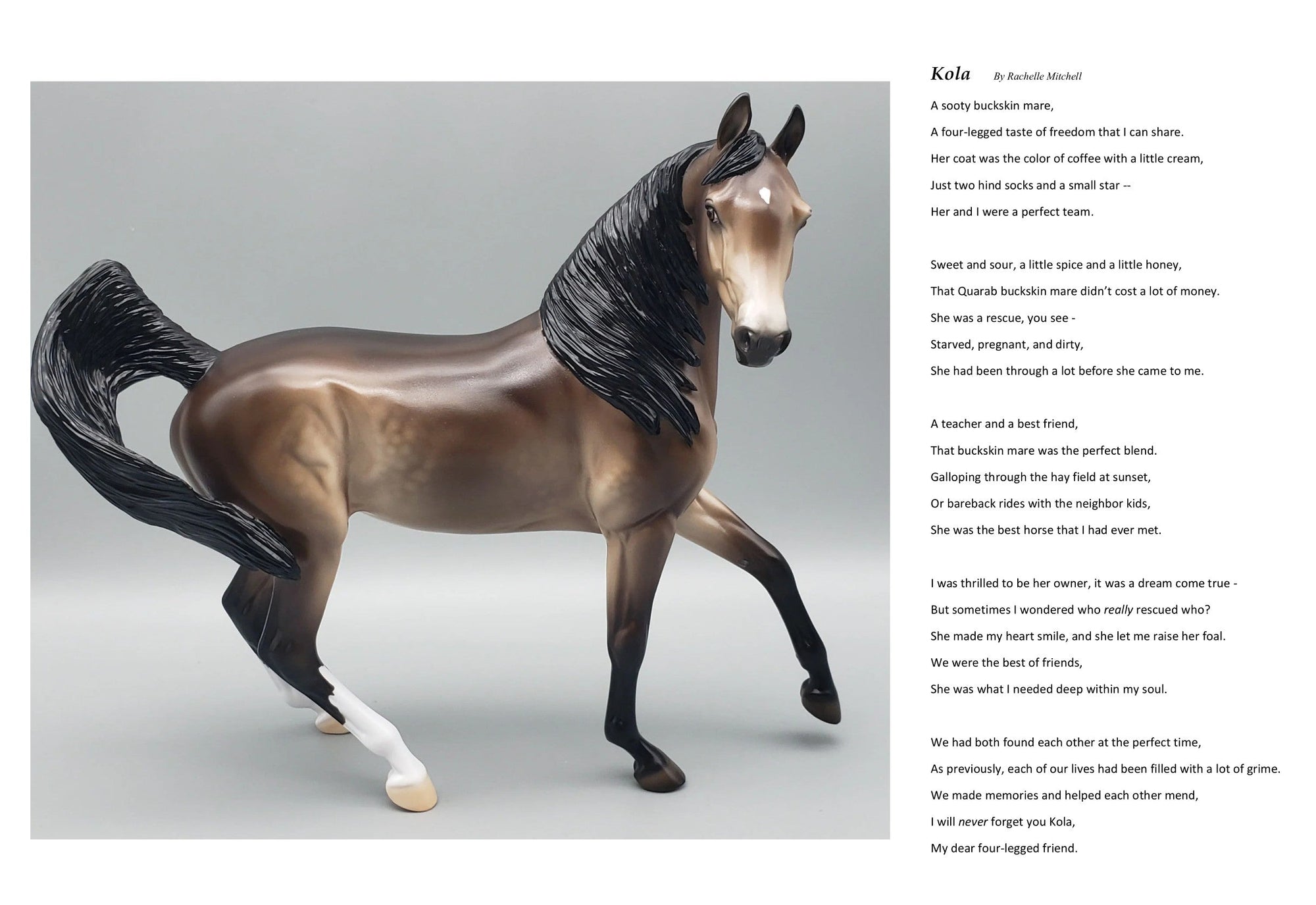 Kola Customized Sooty Buckskin Arab Mare By Ellen Robbins AoTH23