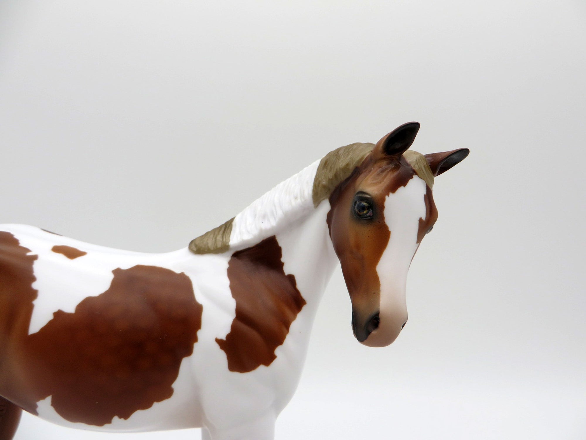 Koontz-OOAK Chestnut Pinto Weanling  Painted By Audrey Dixon EQ 21