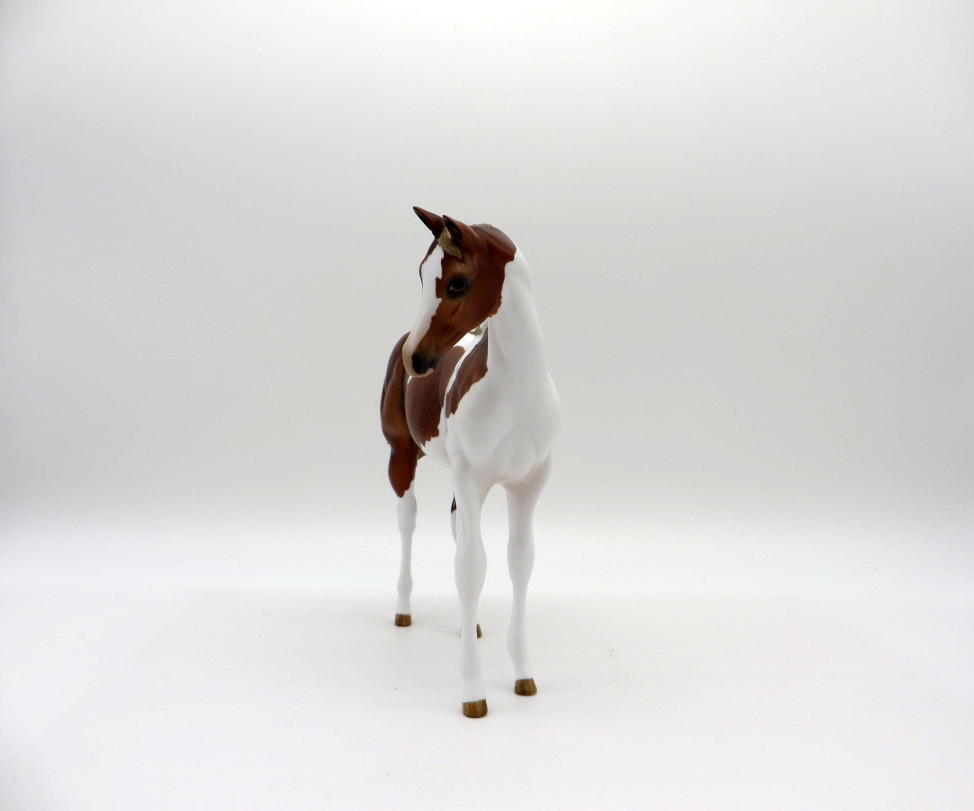 Koontz-OOAK Chestnut Pinto Weanling  Painted By Audrey Dixon EQ 21