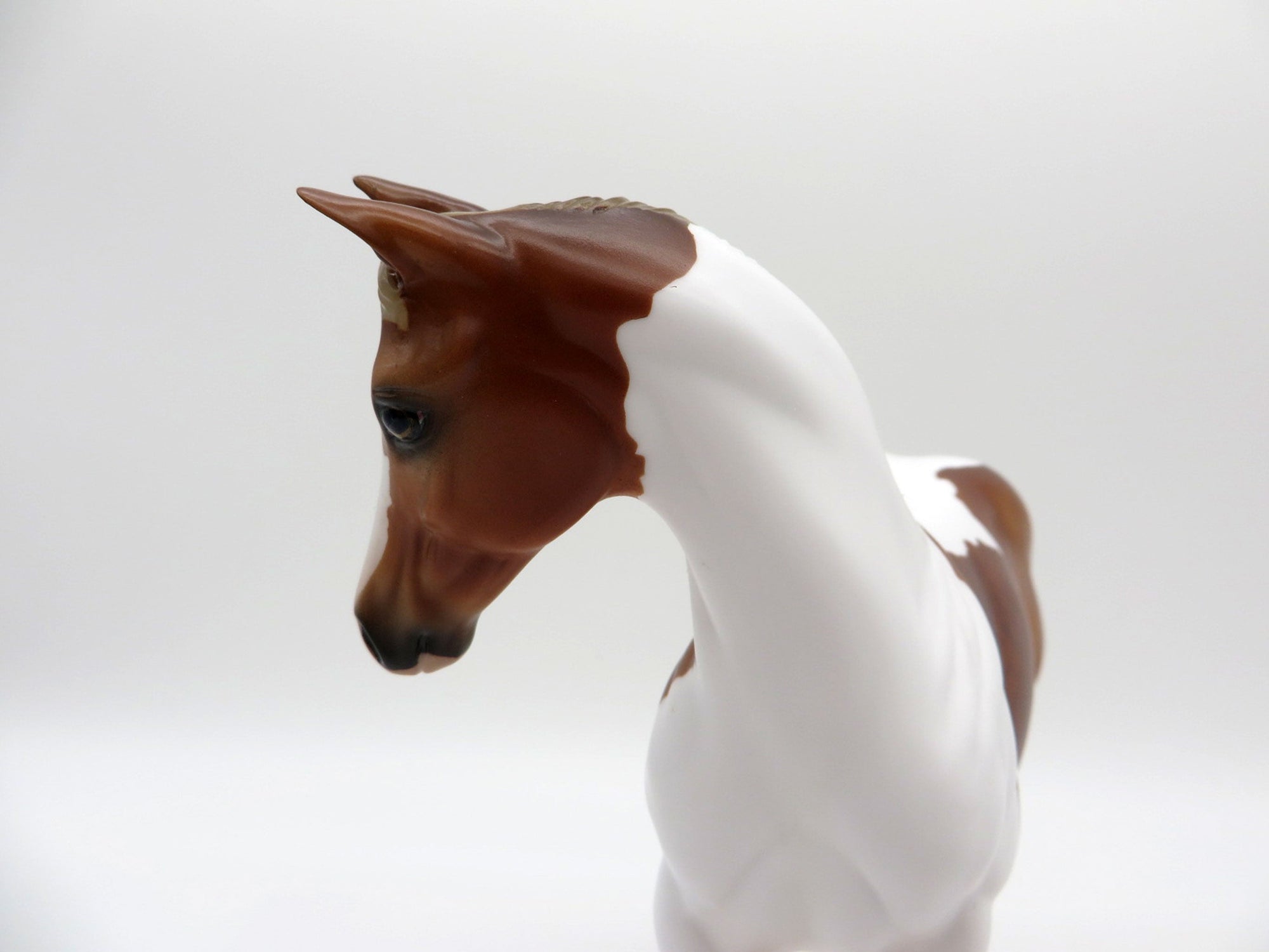 Koontz-OOAK Chestnut Pinto Weanling  Painted By Audrey Dixon EQ 21