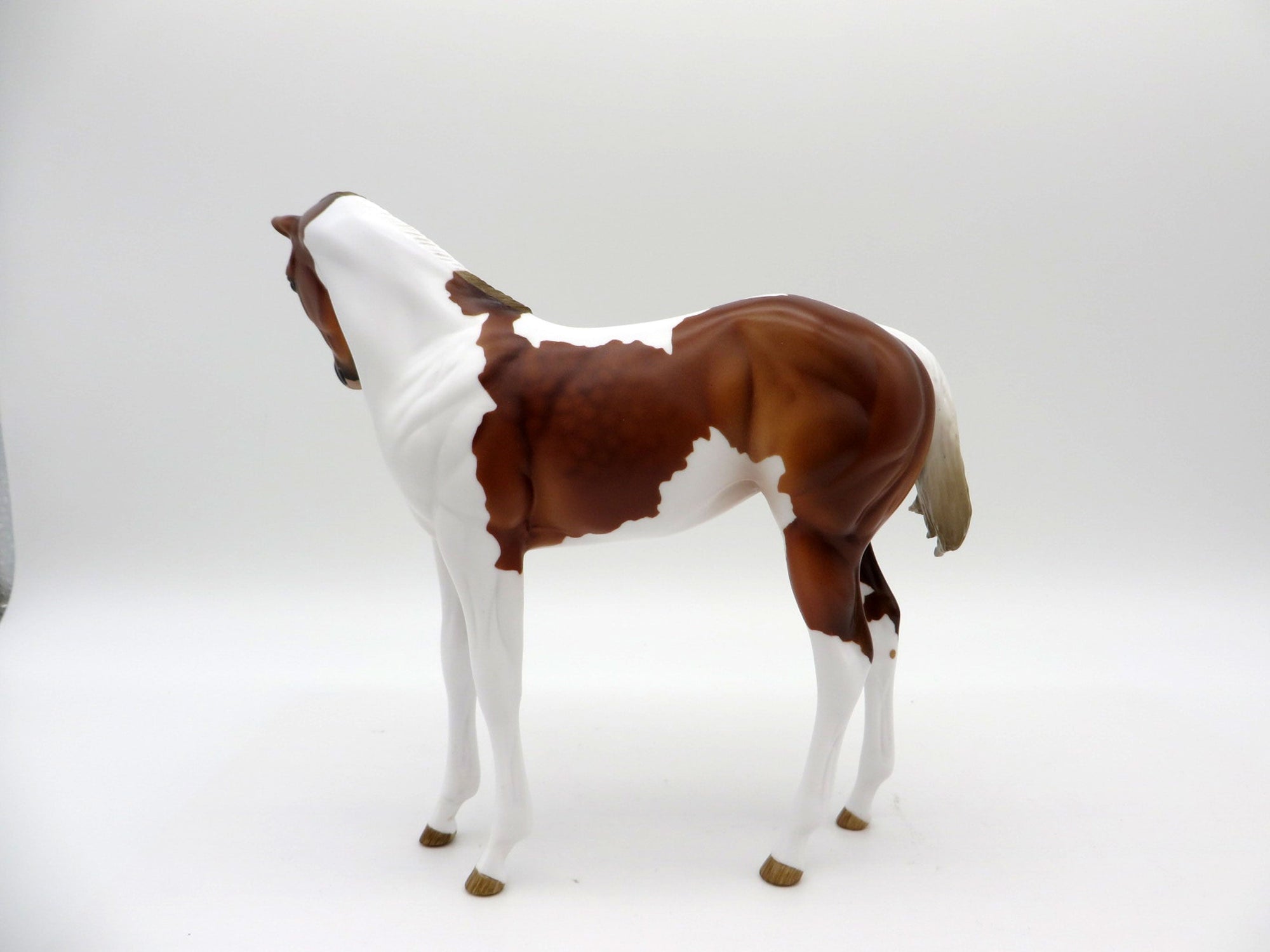 Koontz-OOAK Chestnut Pinto Weanling  Painted By Audrey Dixon EQ 21