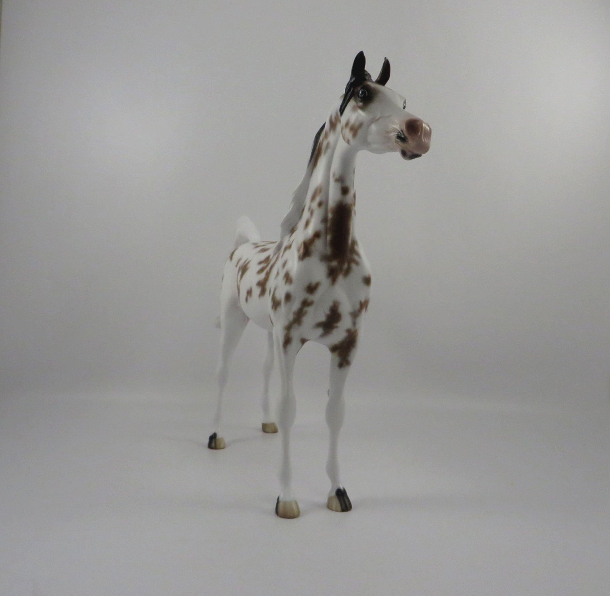 Krushaver-OOAK Bay Appaloosa Arabian Painted by Sheryl Leisure 3/5/21