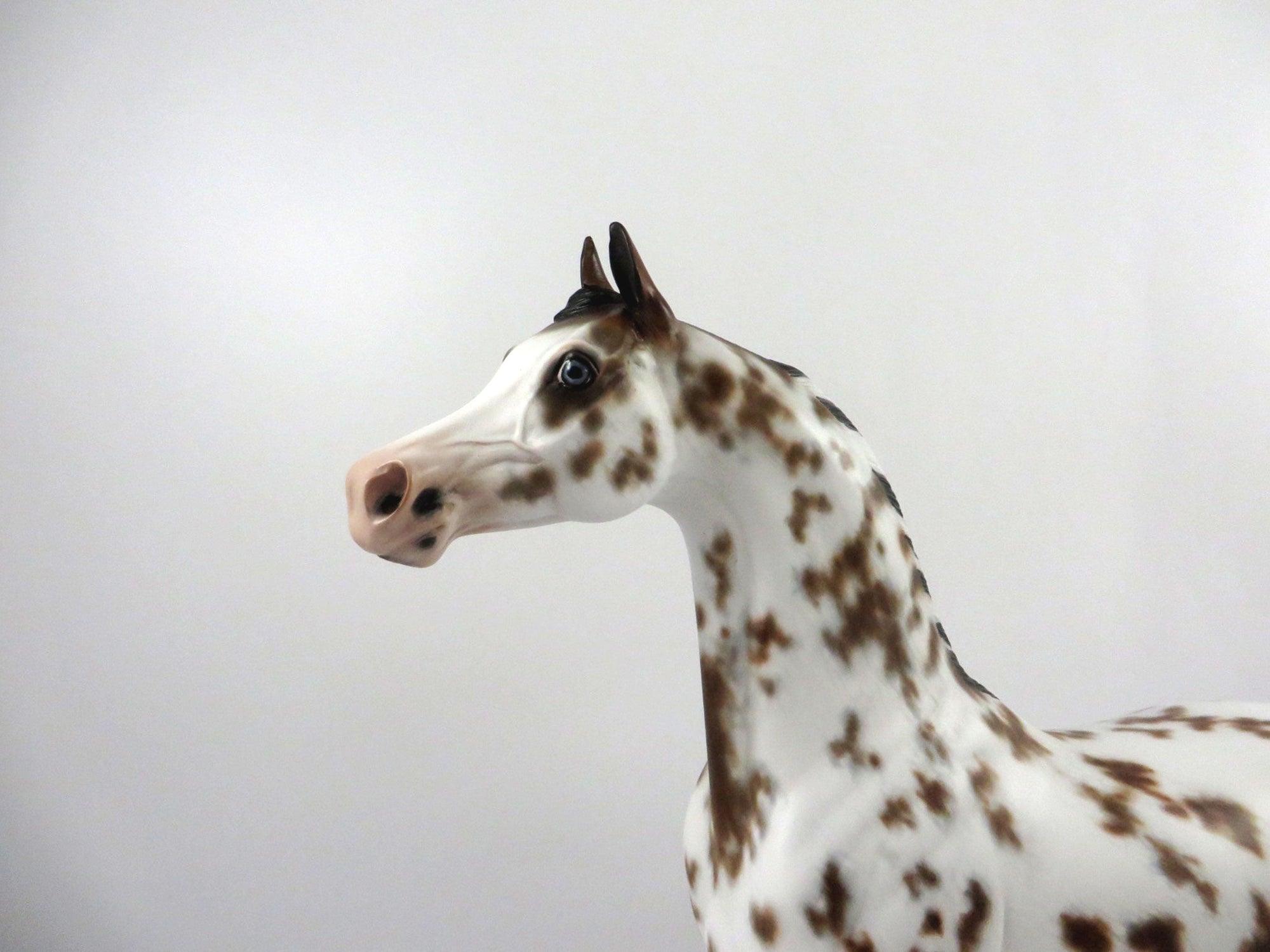 Krushaver-OOAK Bay Appaloosa Arabian Painted by Sheryl Leisure 3/5/21