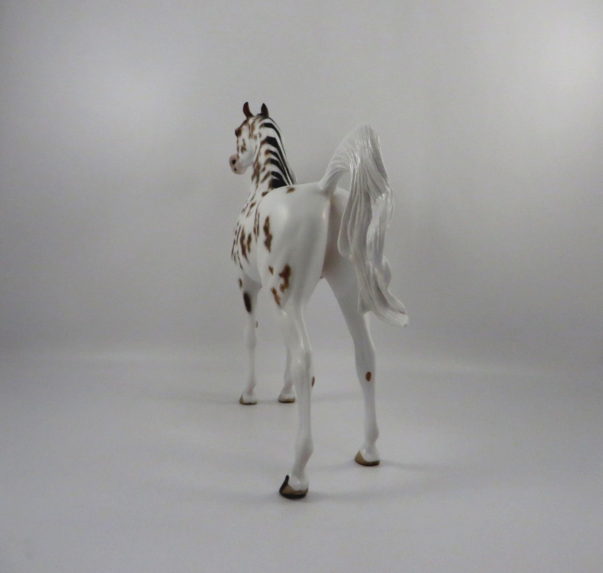 Krushaver-OOAK Bay Appaloosa Arabian Painted by Sheryl Leisure 3/5/21